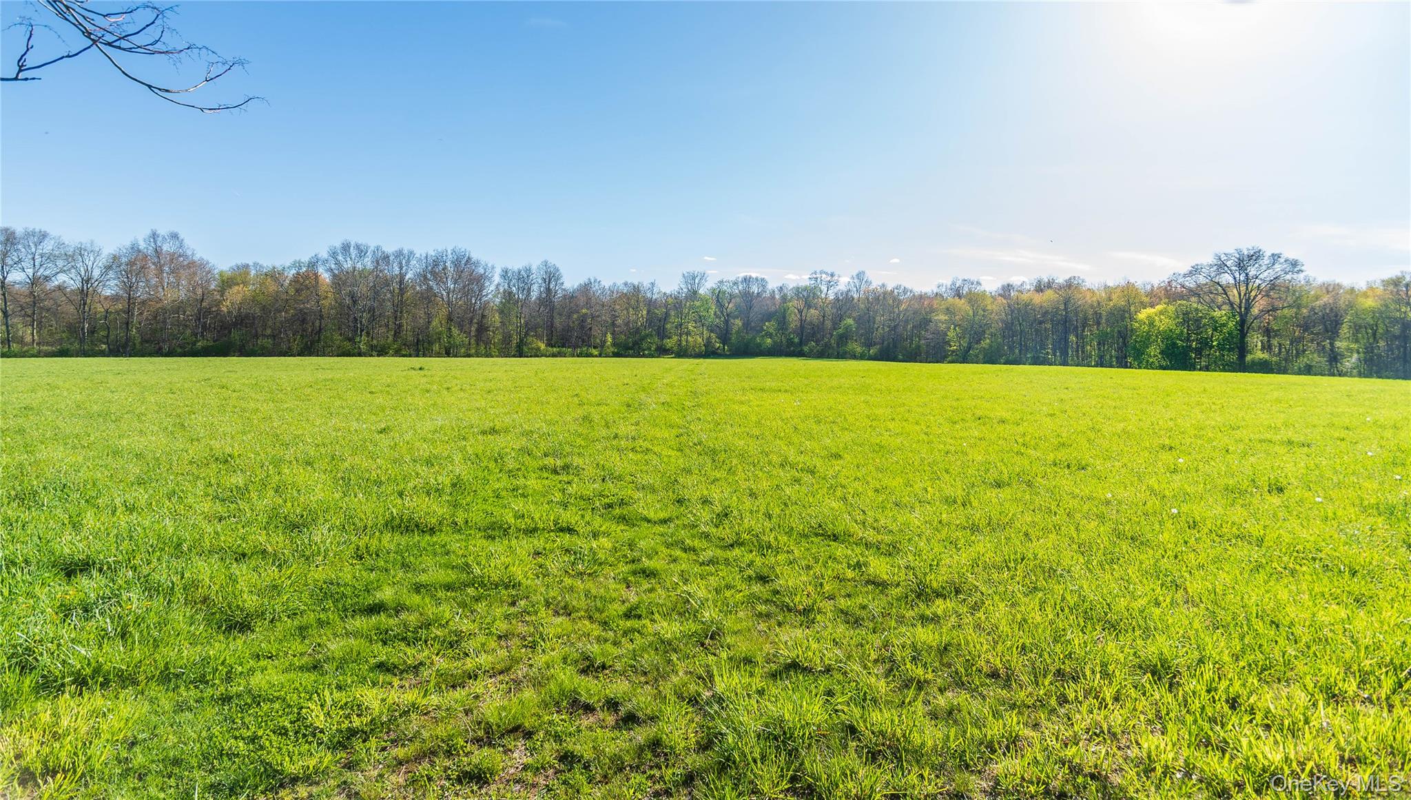 111 Browns Road – For Sale photo 25