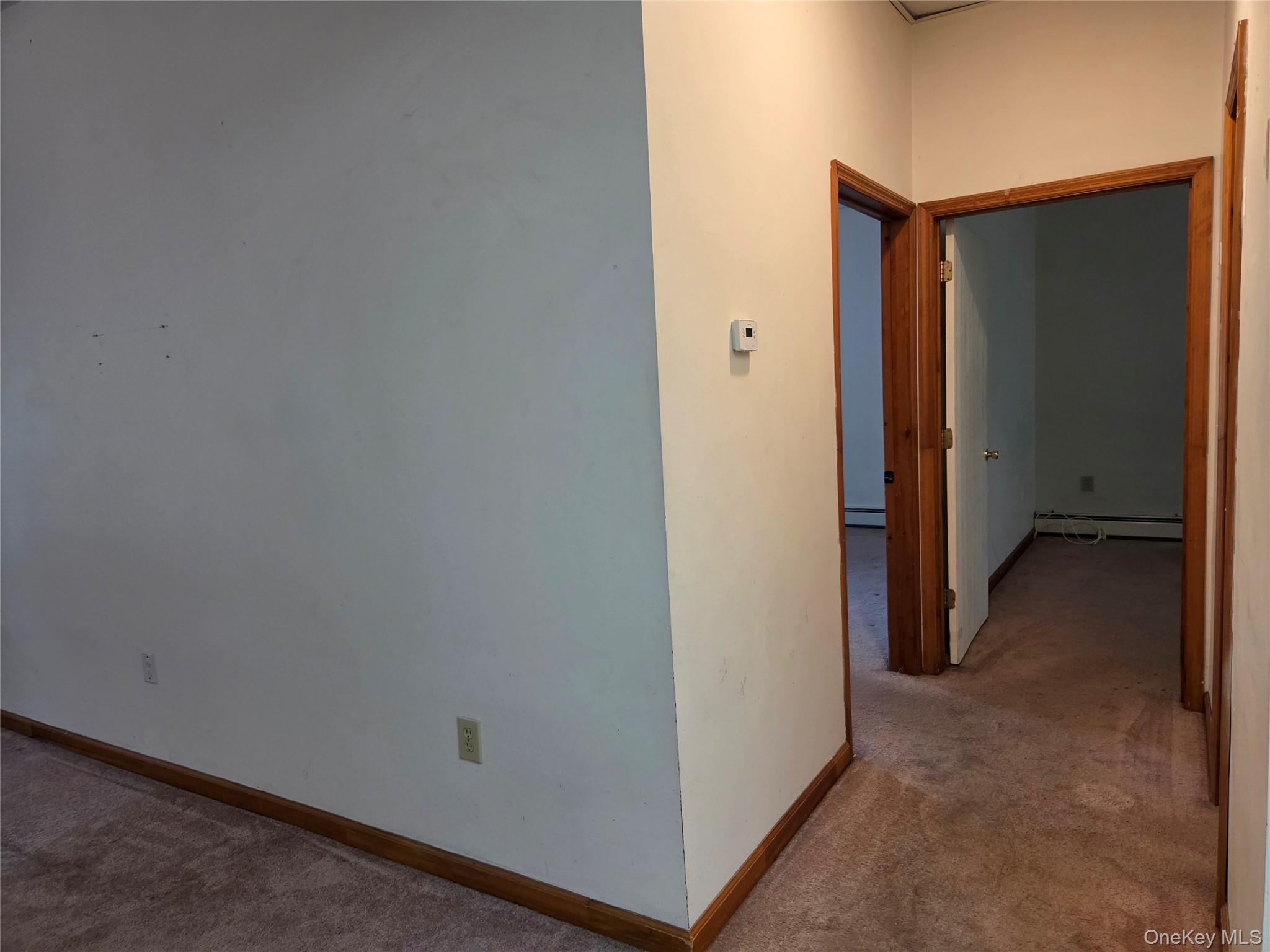 263 Riley Road – For Sale photo 22