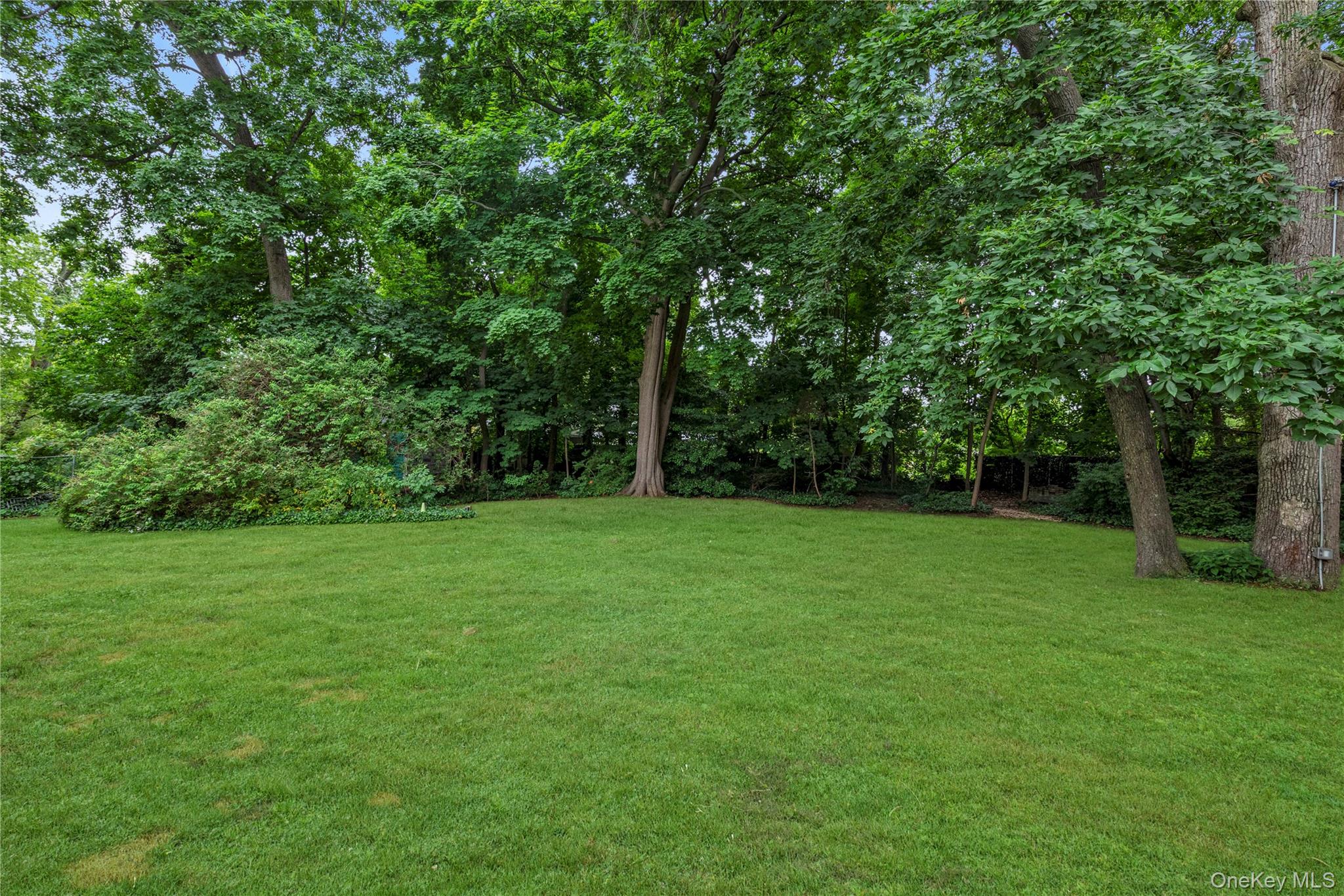 81 Union Avenue – For Sale photo 12