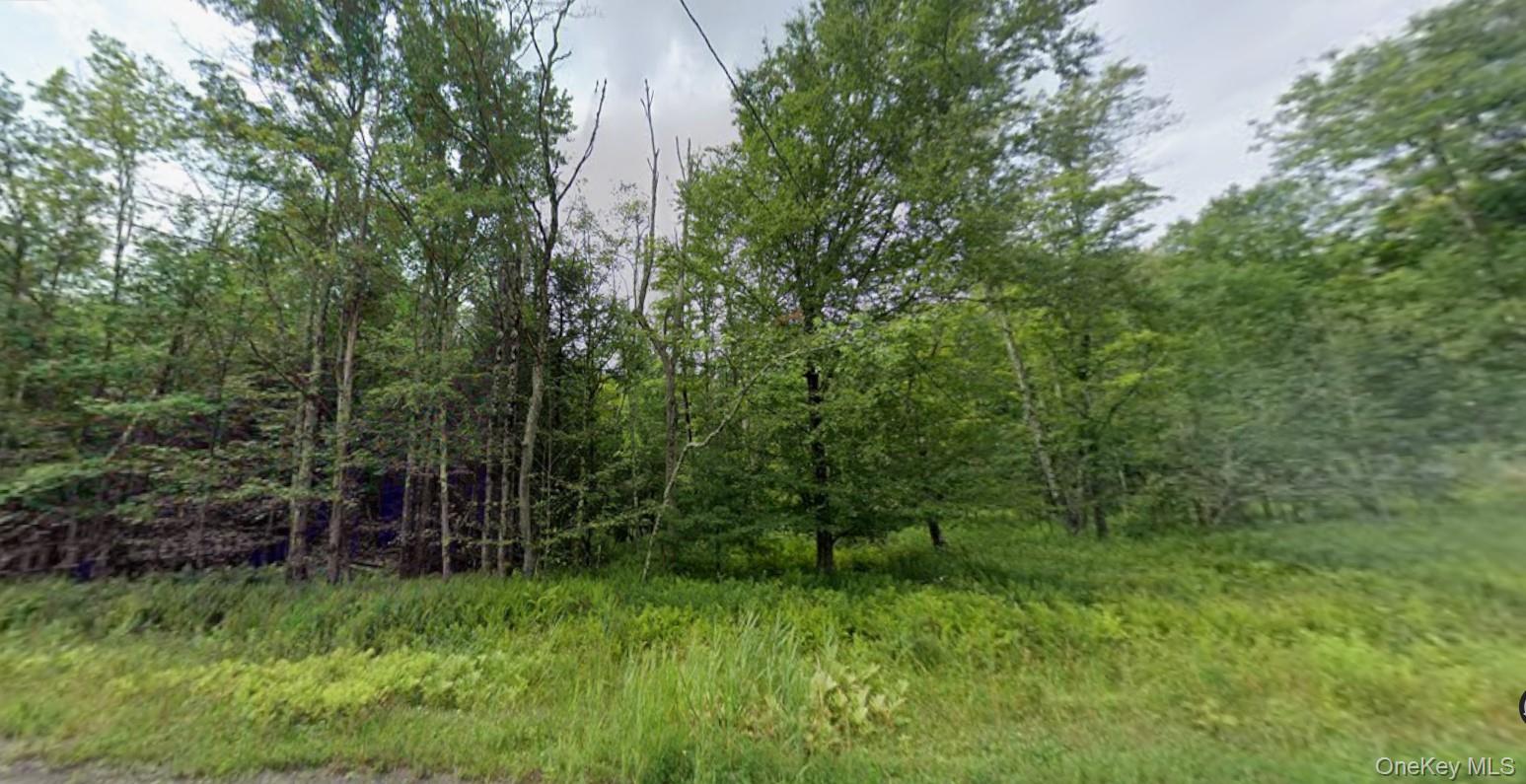 780 Tanzman Road – For Sale
