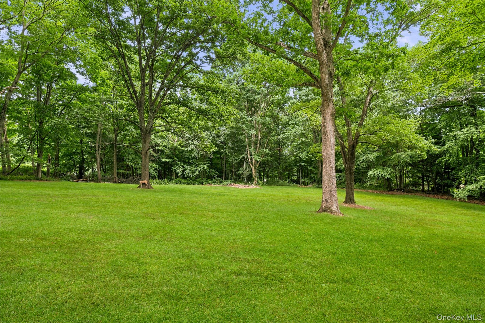 176 Route 118 – For Sale photo 45