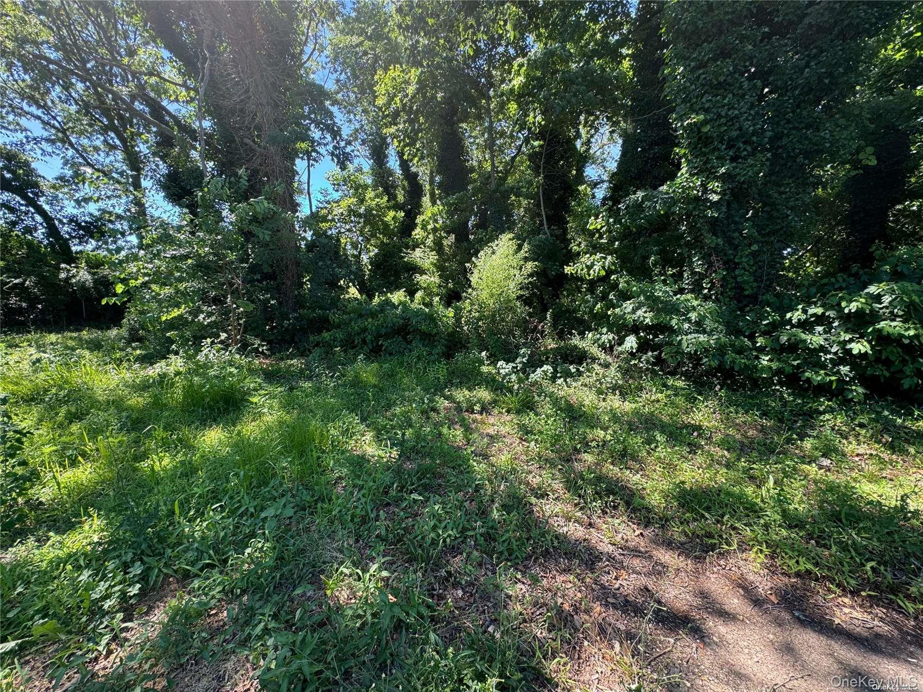 215 Cortland Street – For Sale