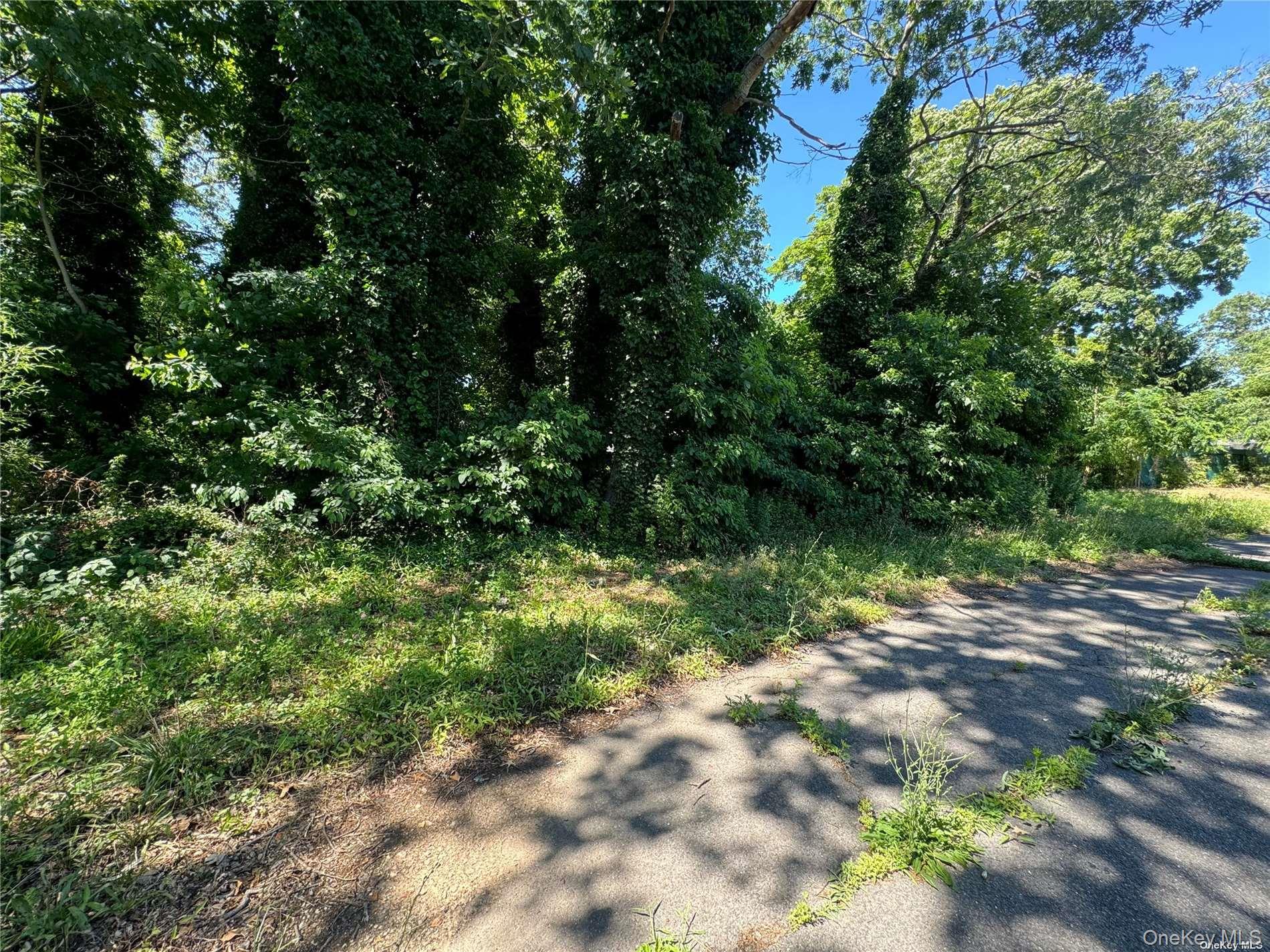 215 Cortland Street – For Sale photo 2