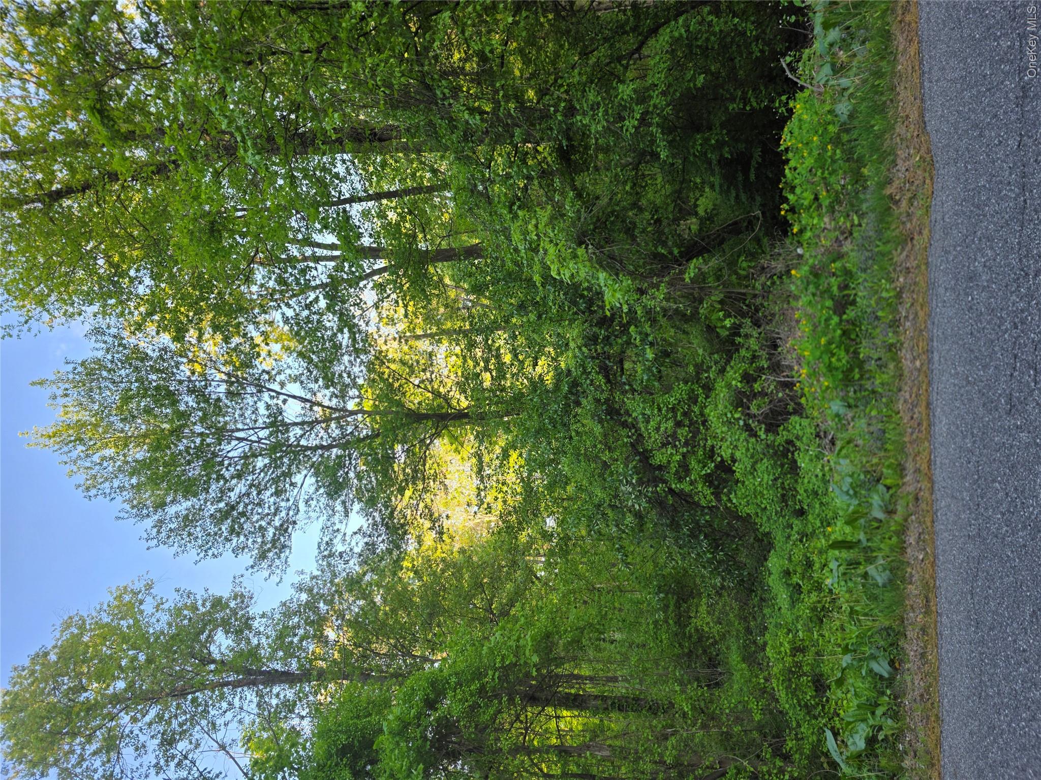 122 Archer Rd – For Sale photo 3