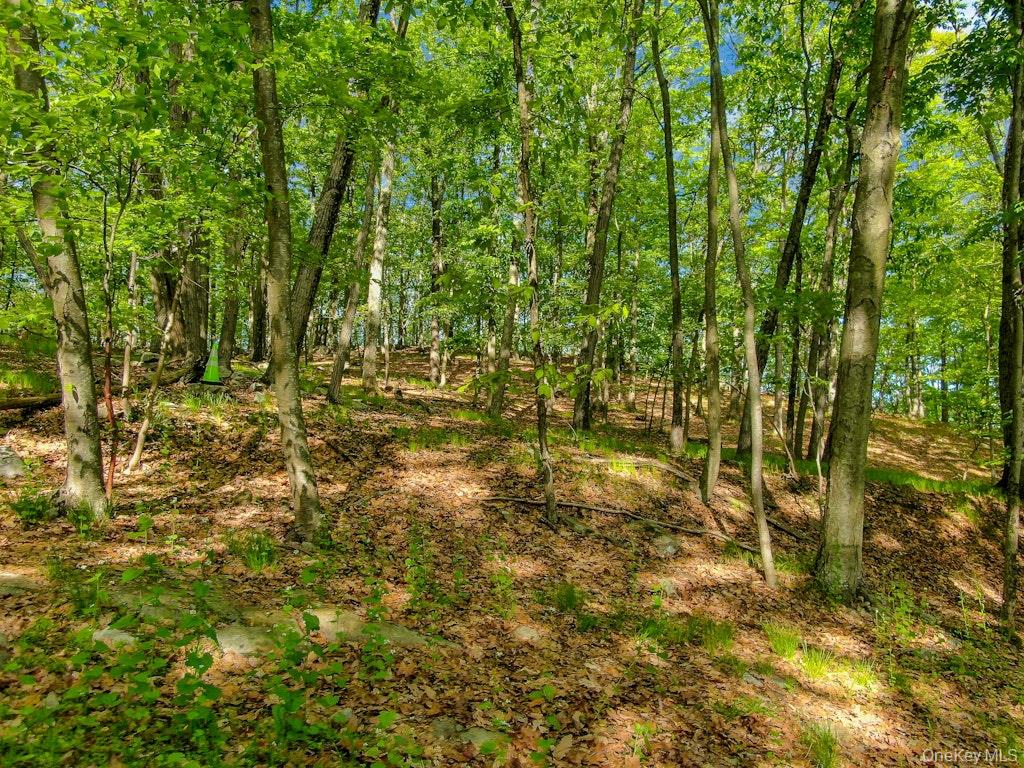 24 Council Crest Road – For Sale photo 3
