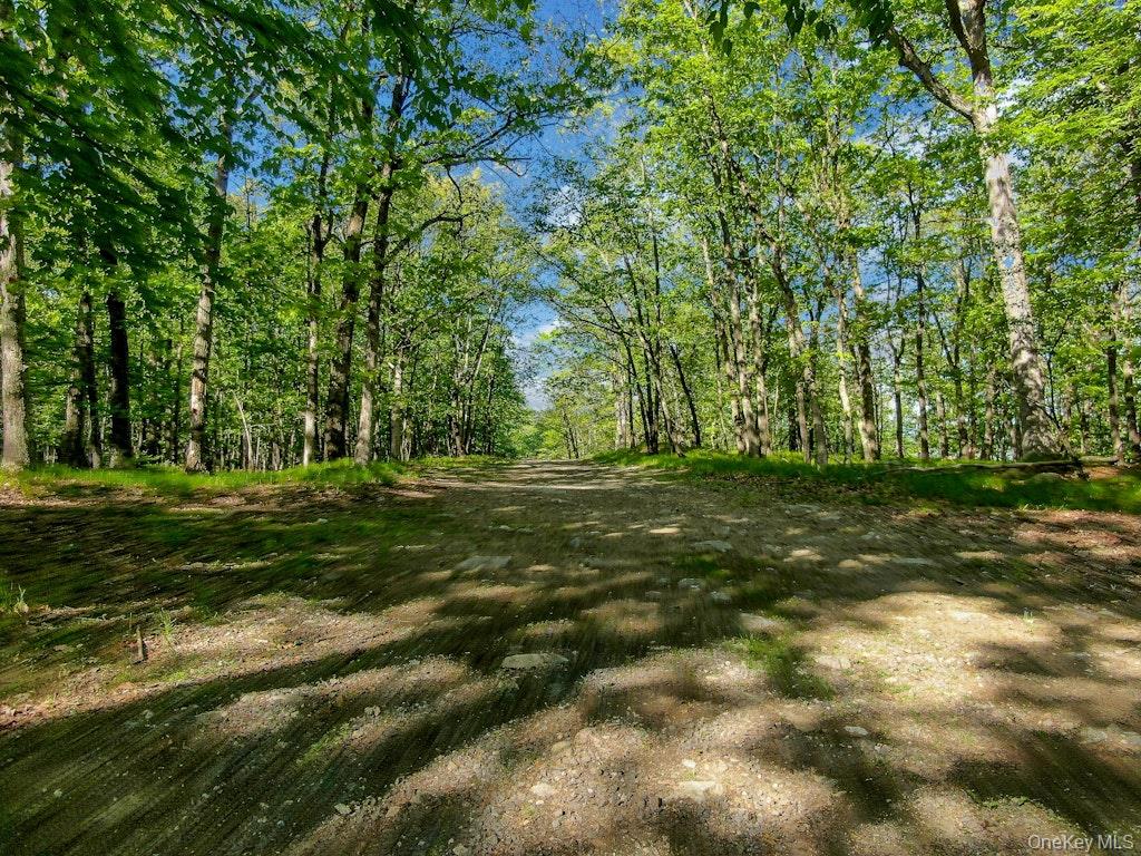 26 Council Crest Road – For Sale photo 22