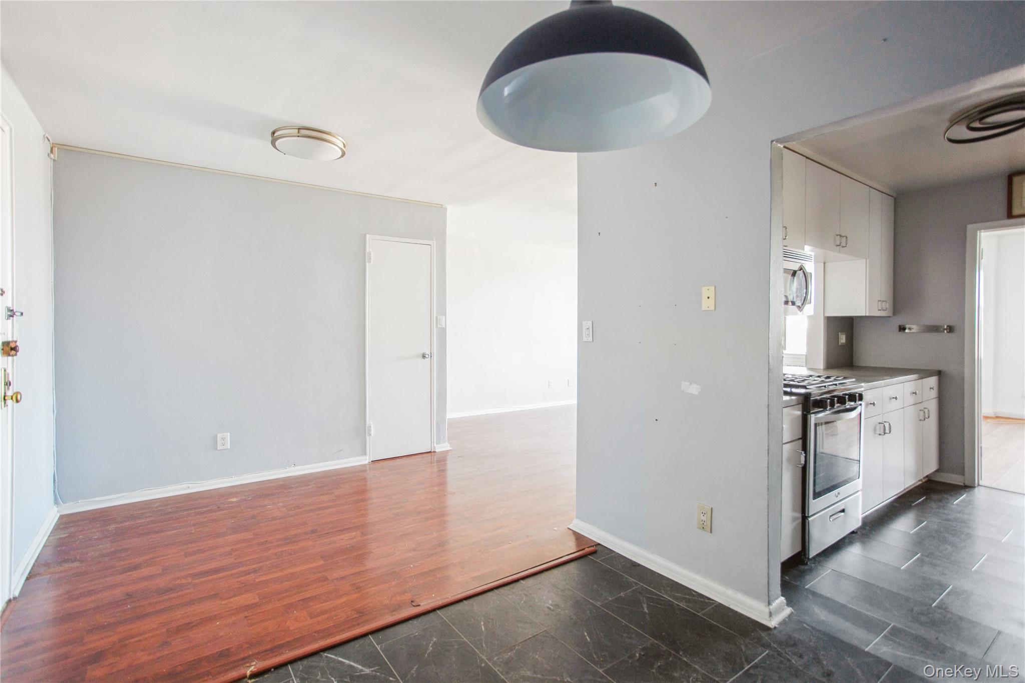 333 E Broadway, Unit 3B photo 9