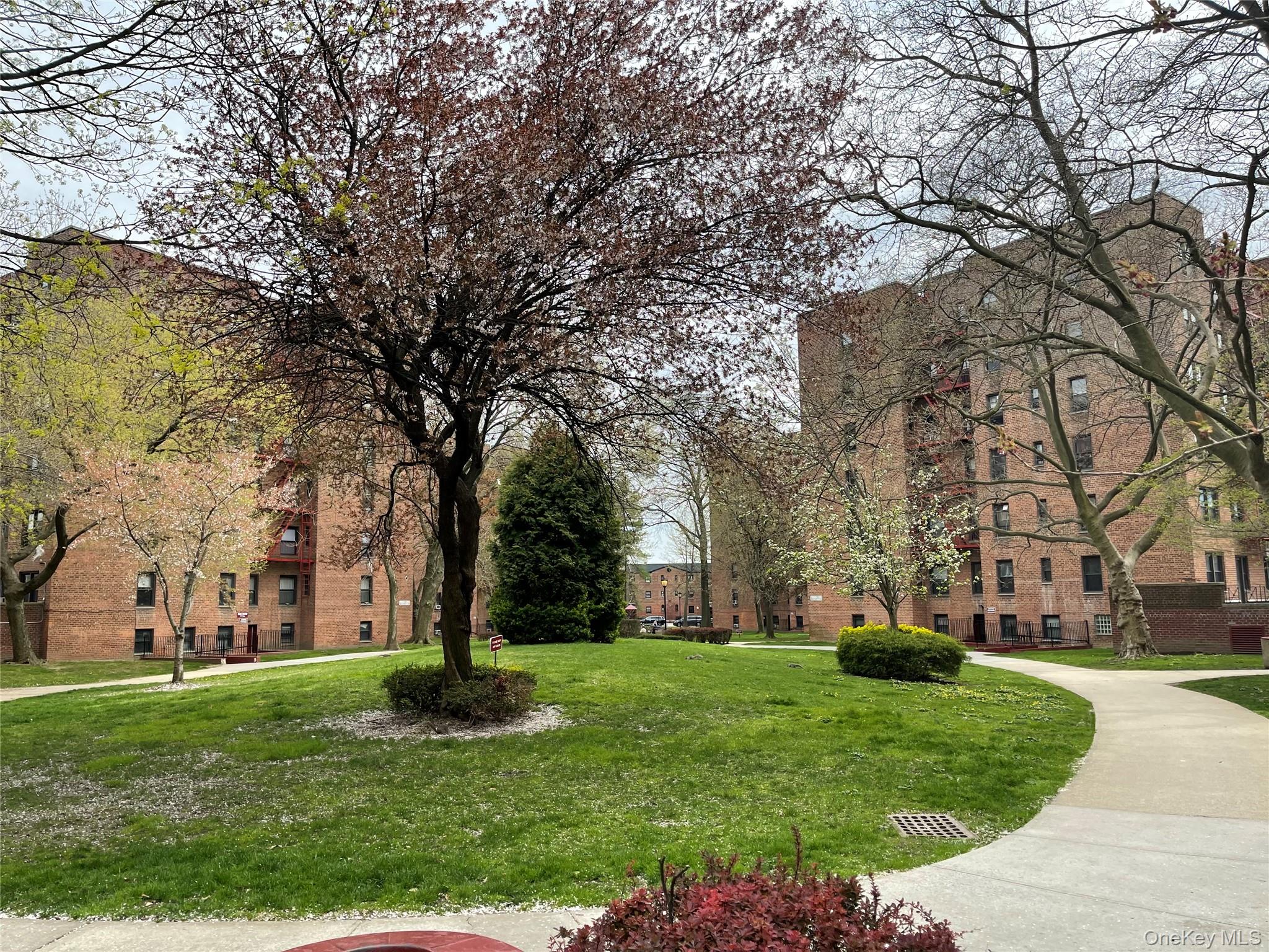 150-29 72 Road, Unit 6 photo 18