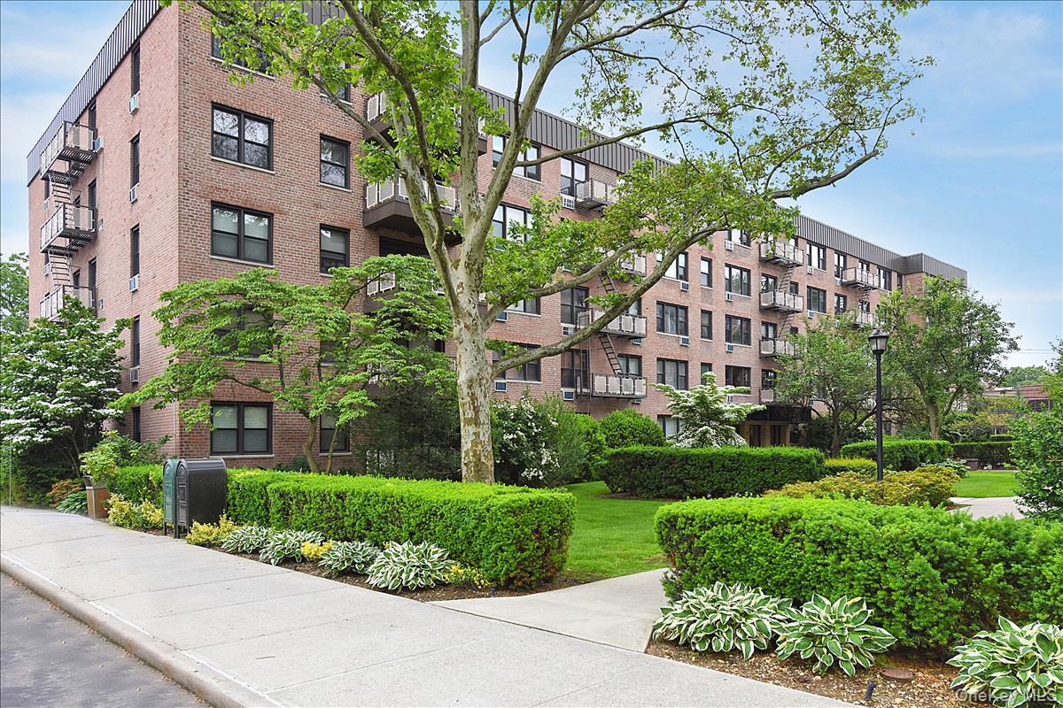 4 Birchwood Court, Unit 2P photo 9