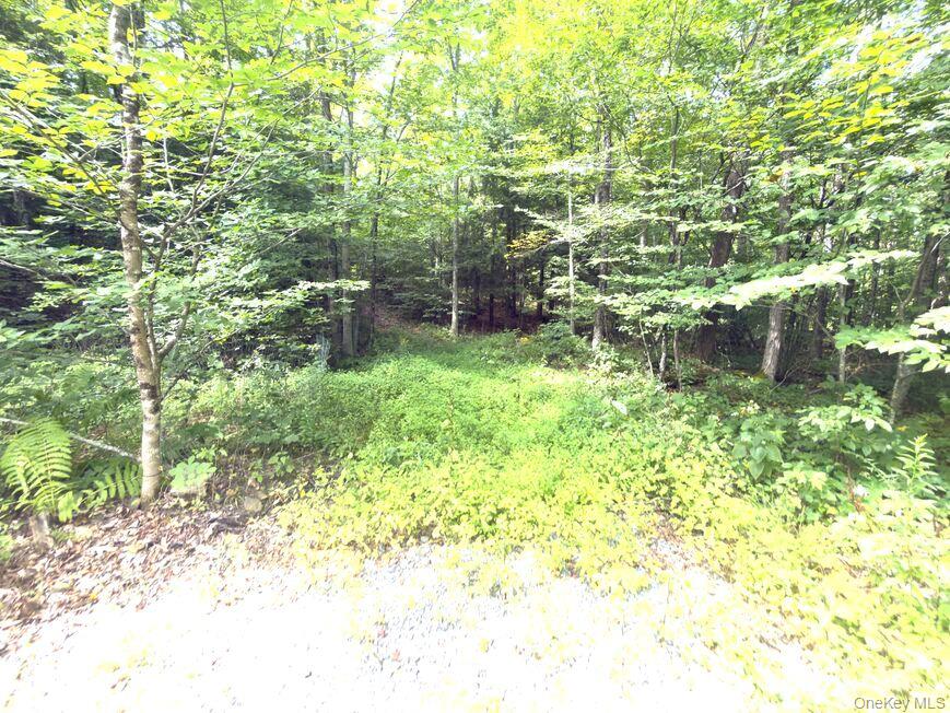 9362 New York 30 St Rt 30 – For Sale photo 30