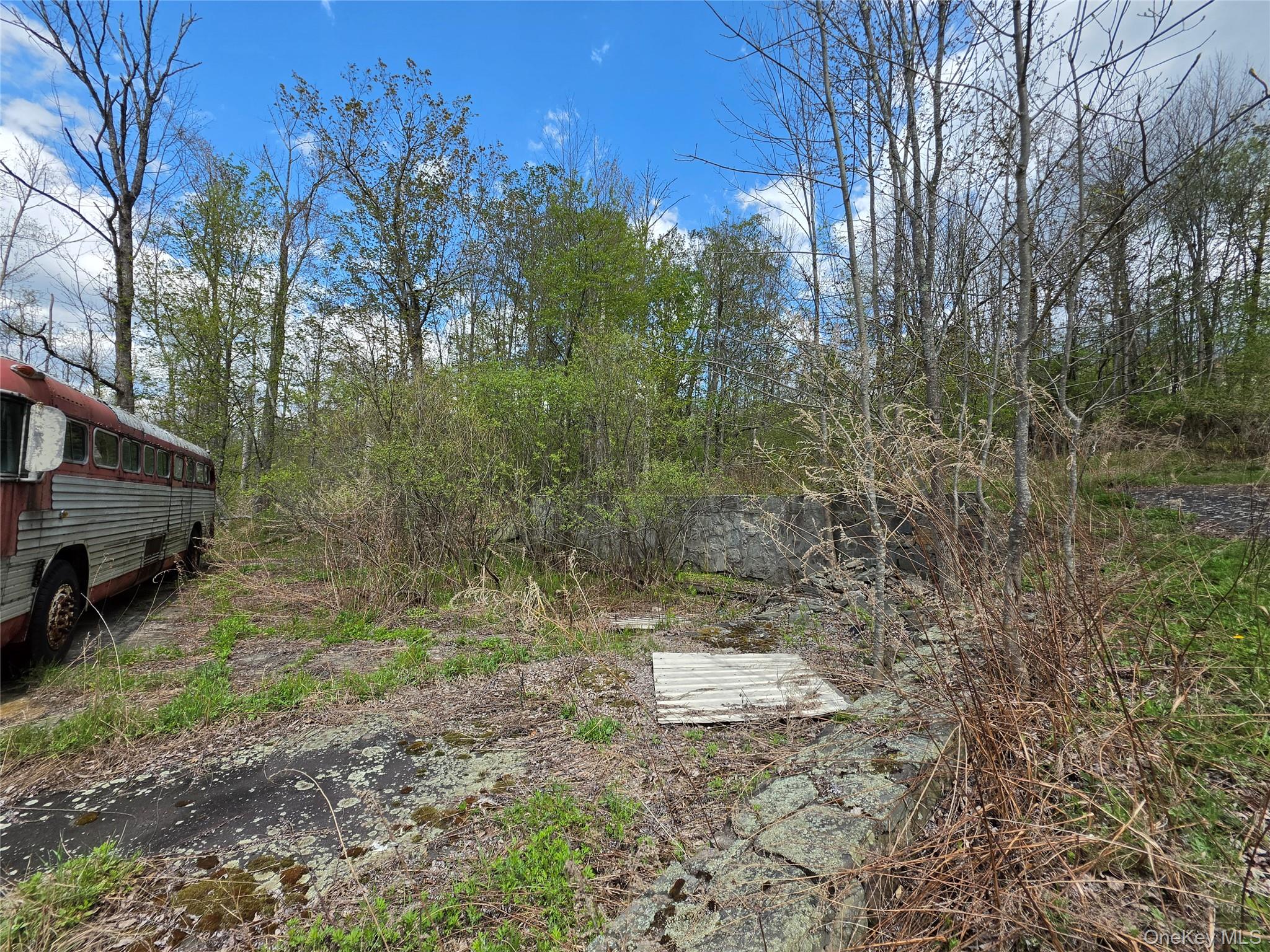 852 NYS Route 17B – For Sale photo 25
