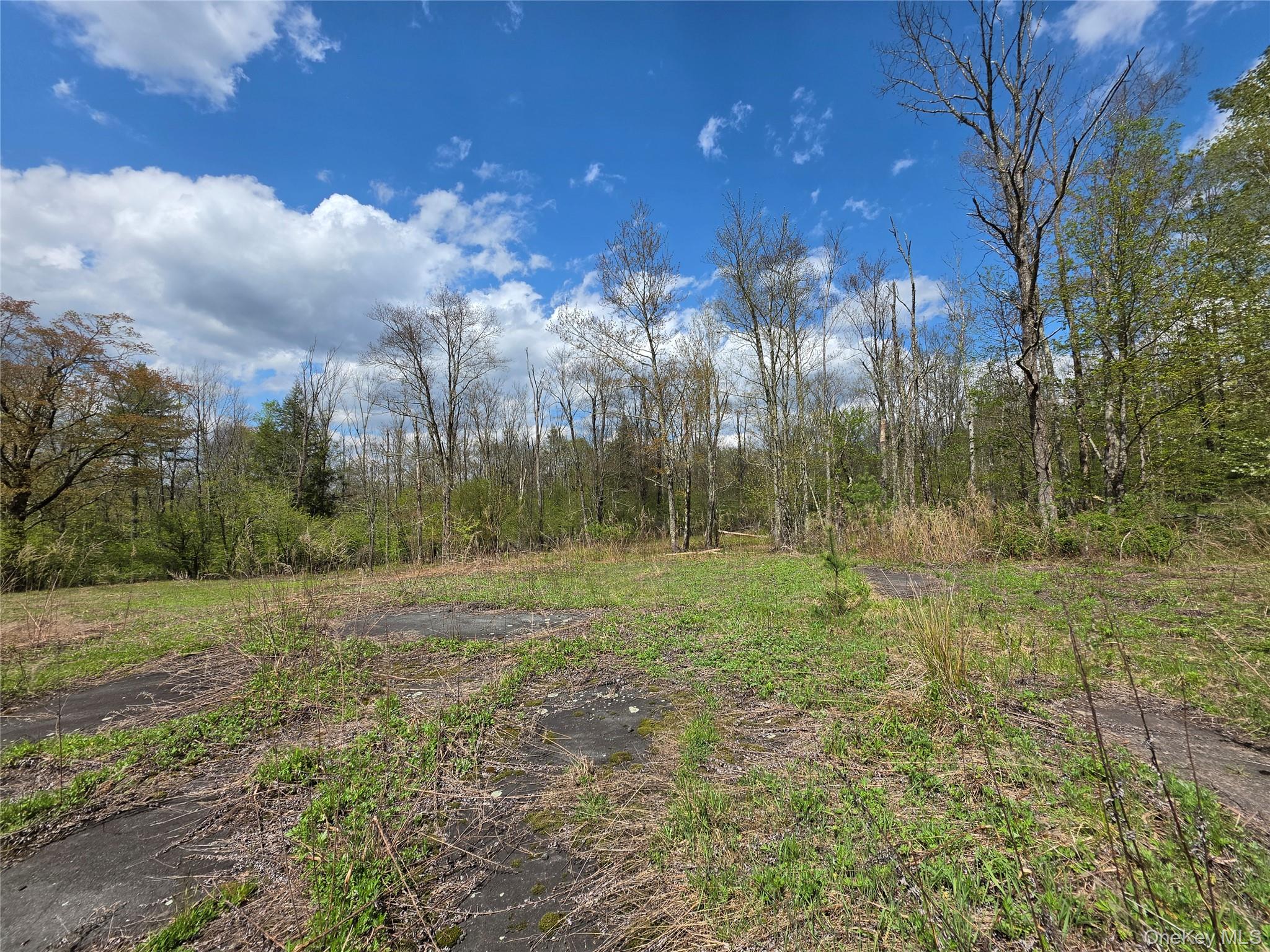 852 NYS Route 17B – For Sale photo 8