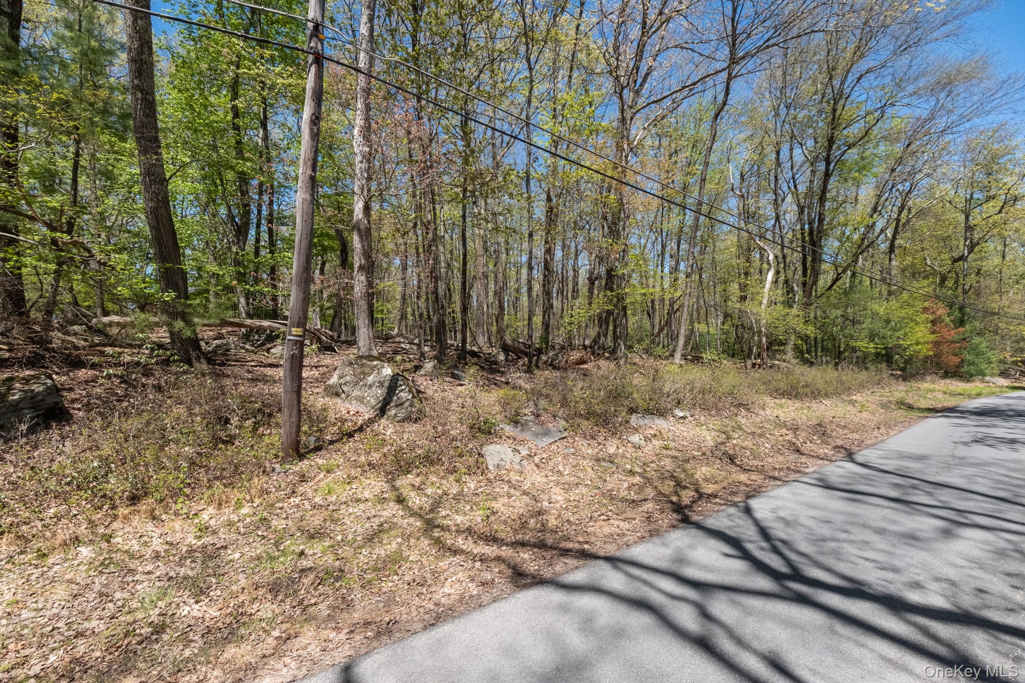 Wolf Pond Road – For Sale photo 7