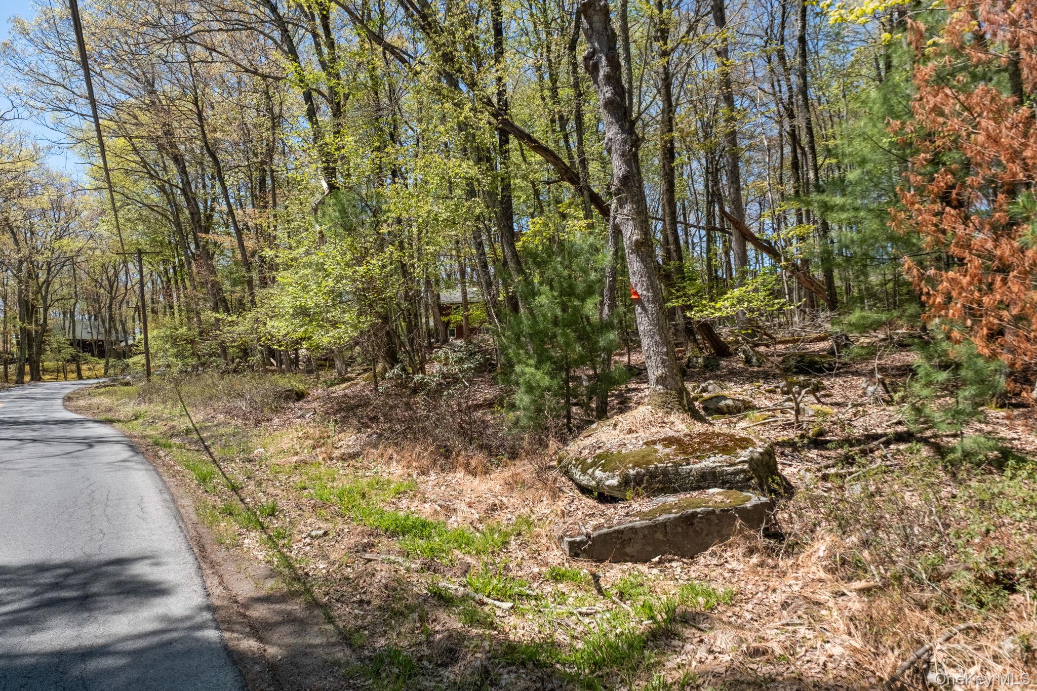 Wolf Pond Road – For Sale photo 11