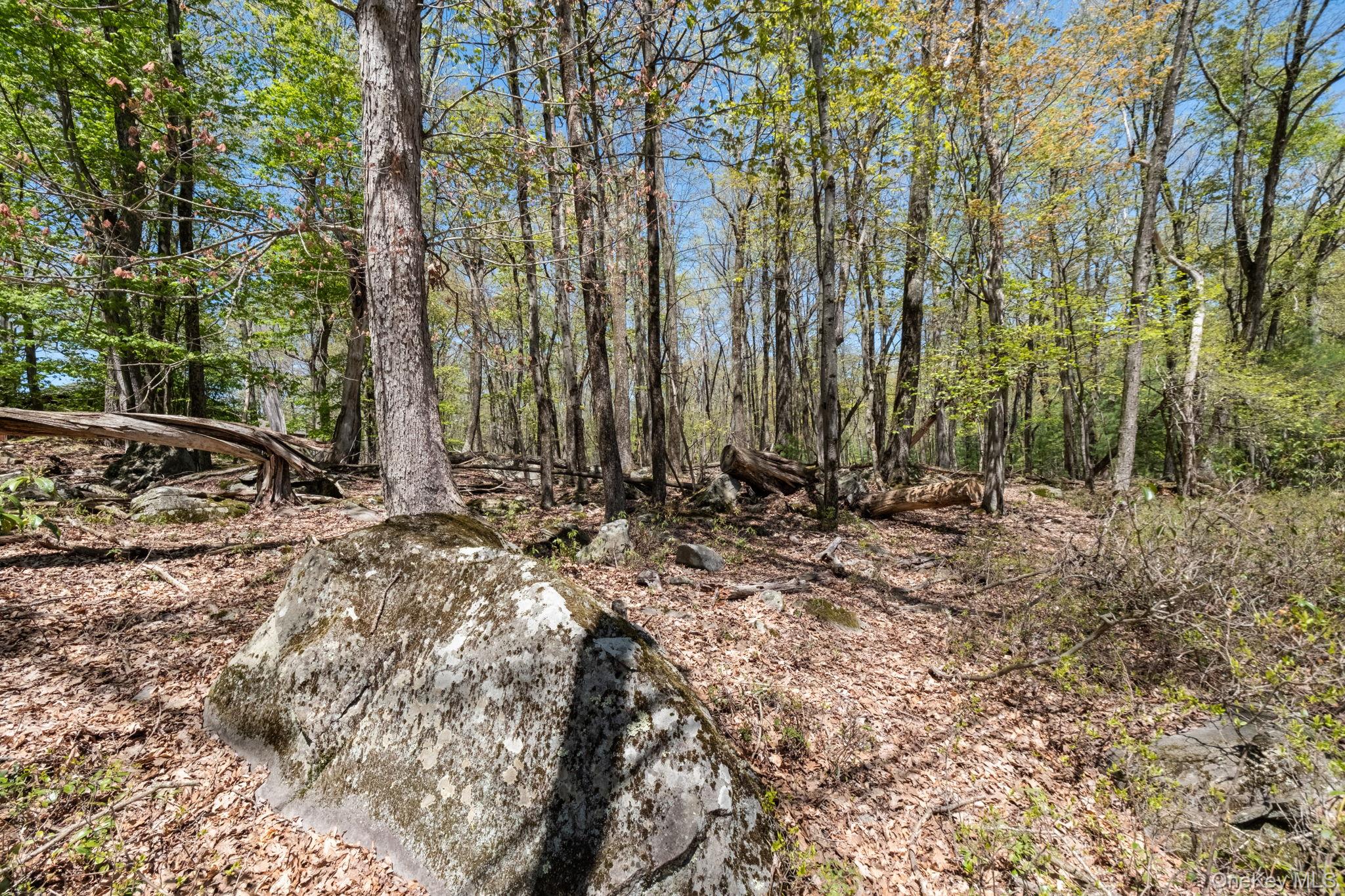 Wolf Pond Road – For Sale photo 8