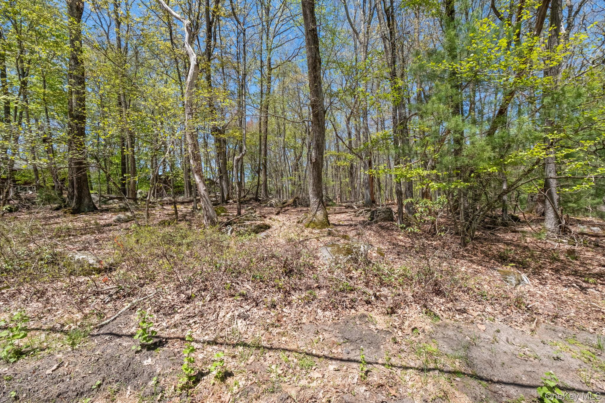 Wolf Pond Road – For Sale photo 12