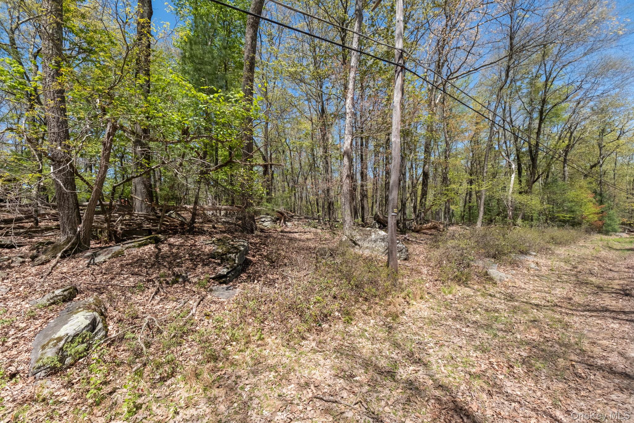 Wolf Pond Road – For Sale photo 9