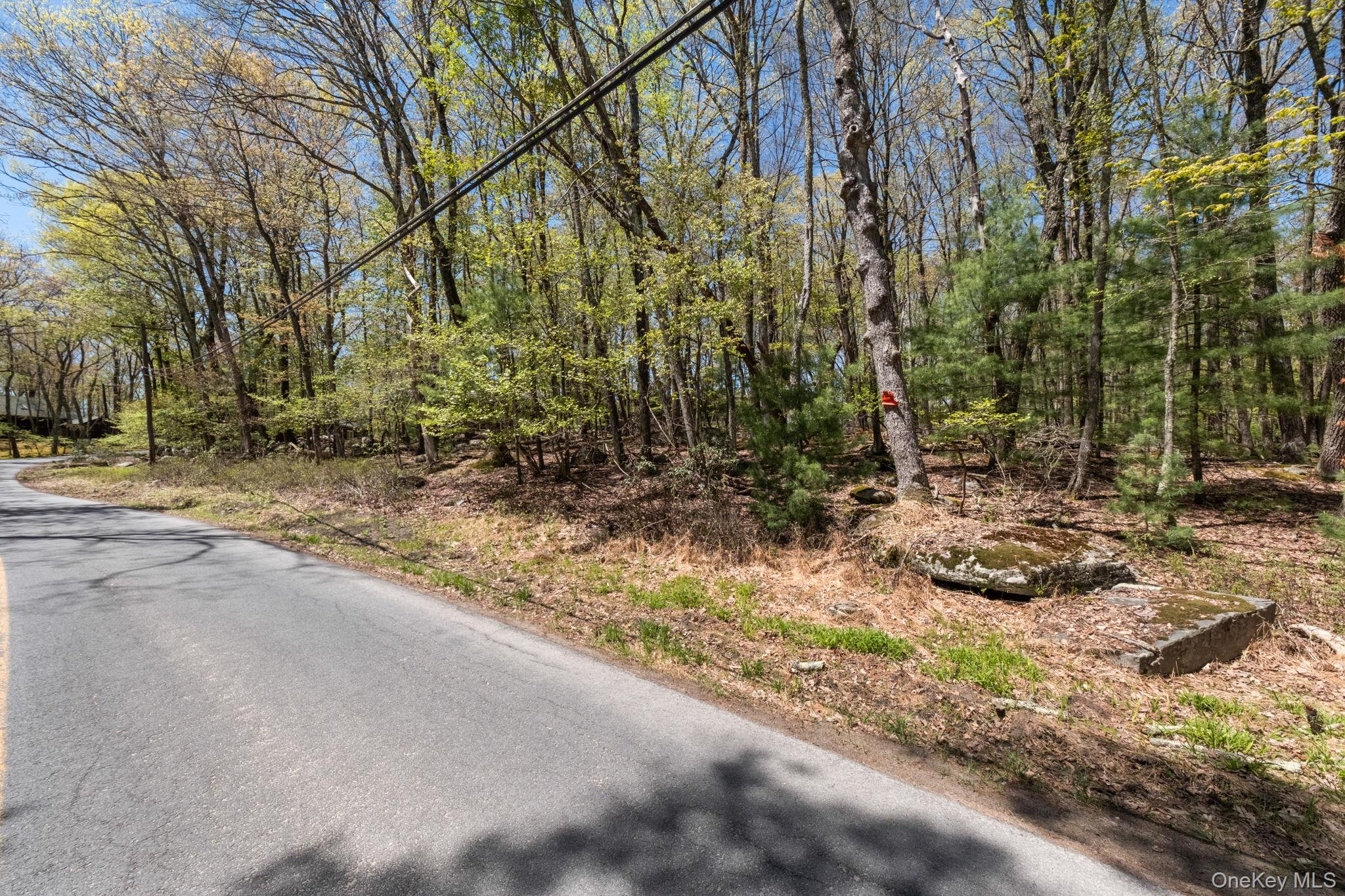 Wolf Pond Road – For Sale photo 10