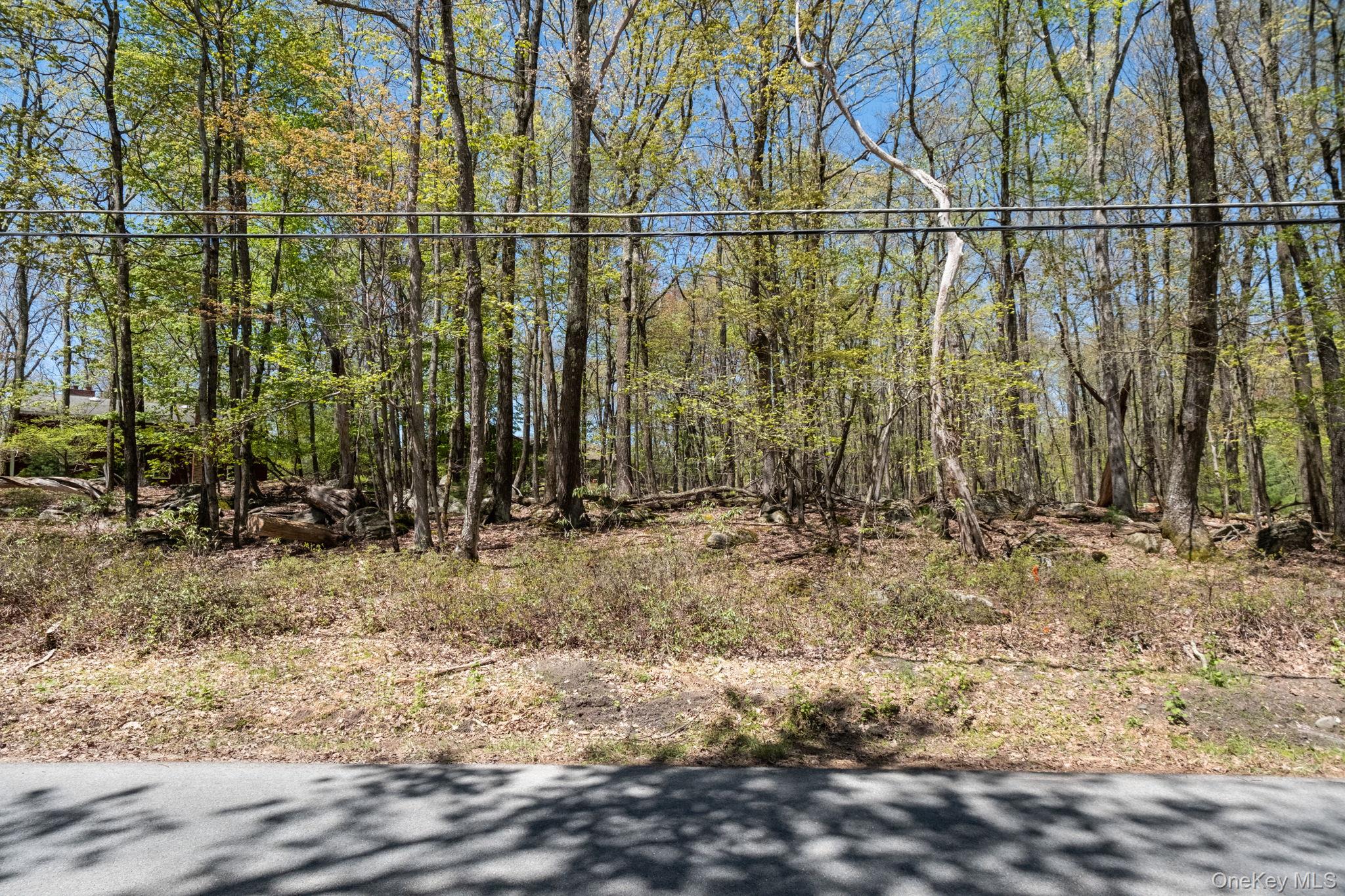 Wolf Pond Road – For Sale photo 6