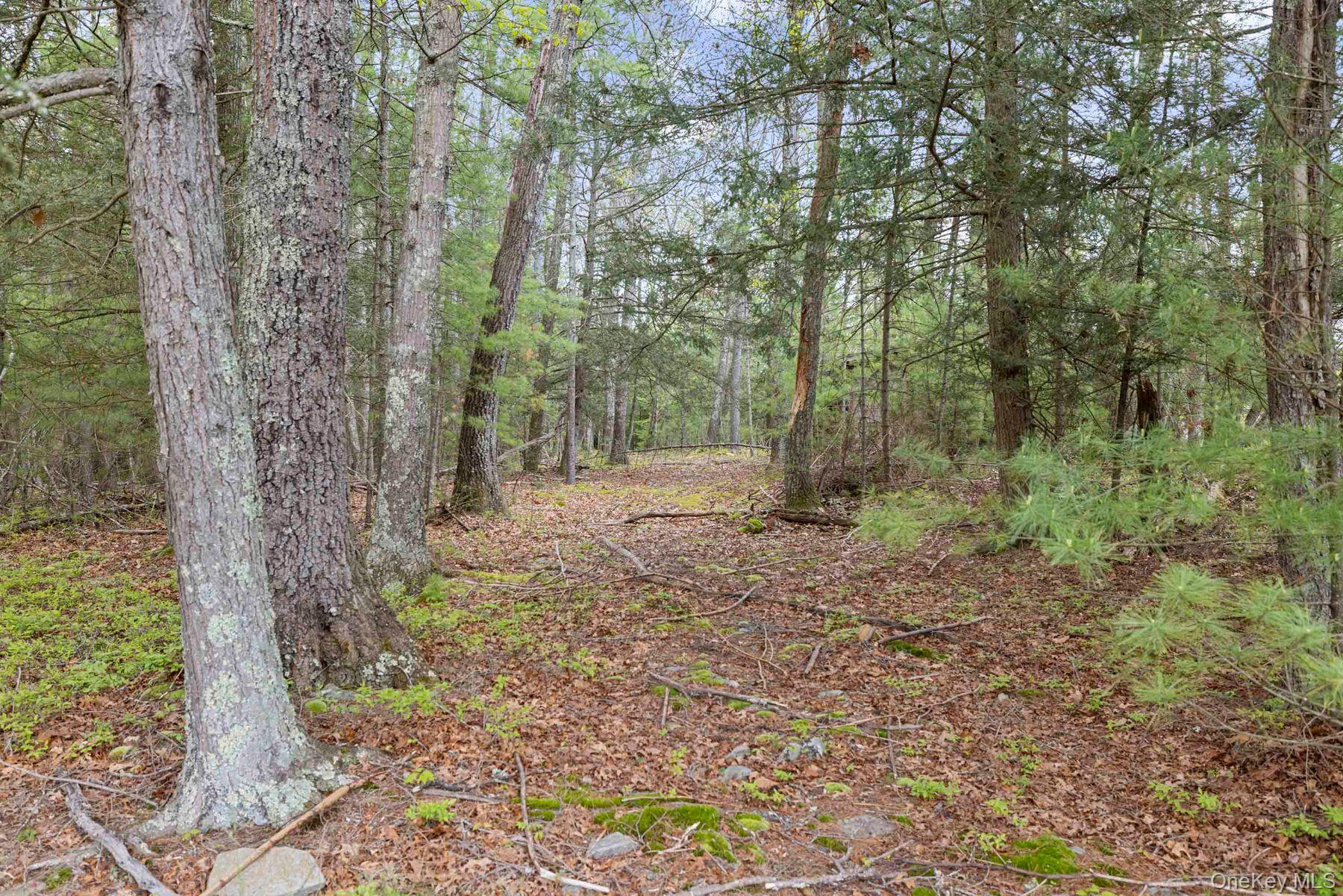 125 Stone Road – For Sale photo 37