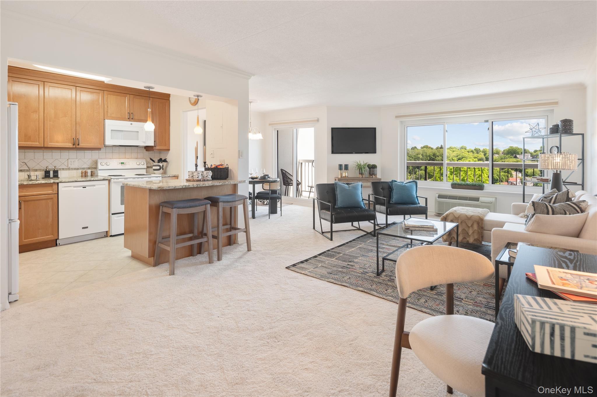 500 High Point Drive, Unit 707 photo 20