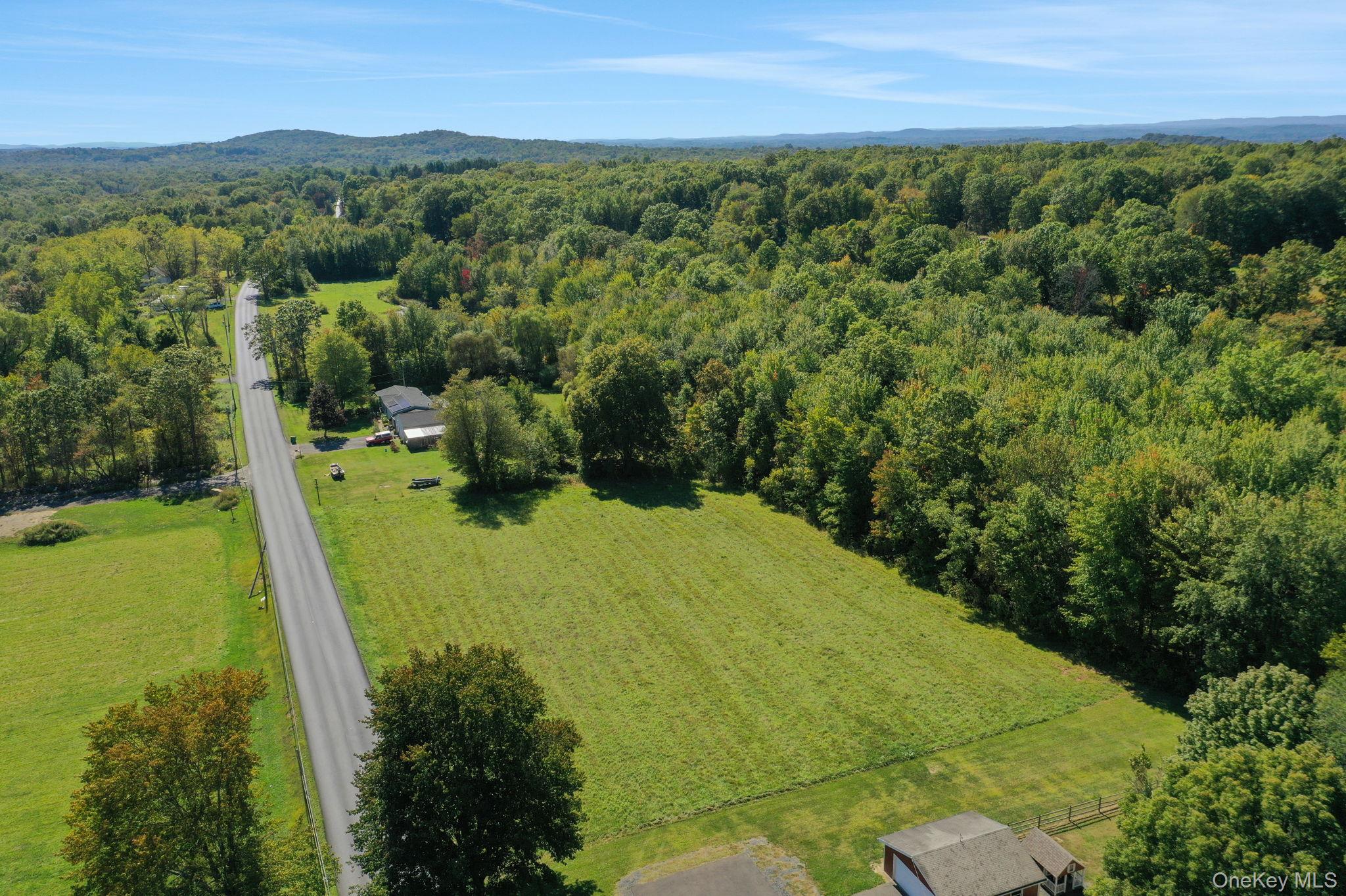 TBD Forest Road – For Sale photo 2
