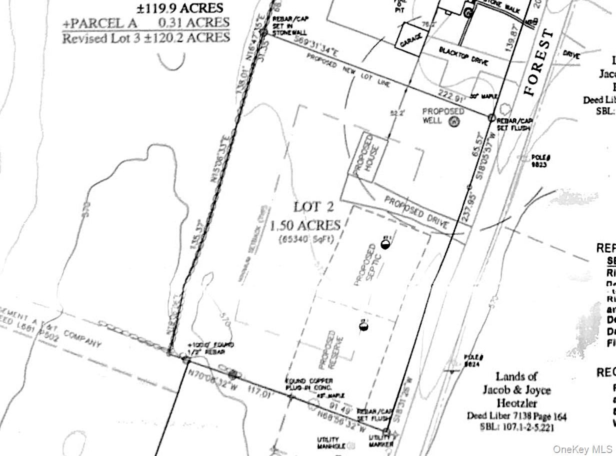 TBD Forest Road – For Sale photo 4