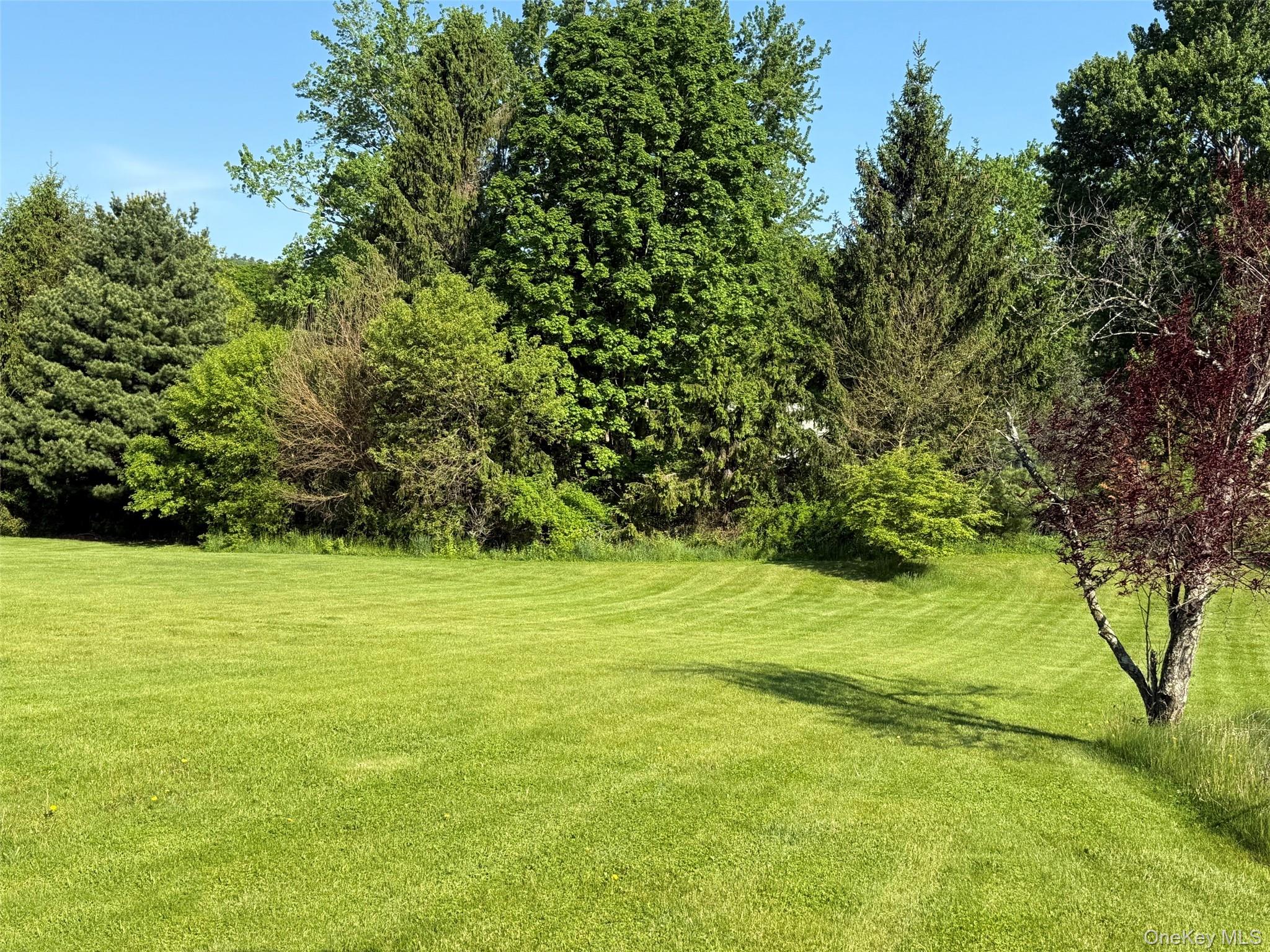 21 Ohandley Drive – For Sale photo 7
