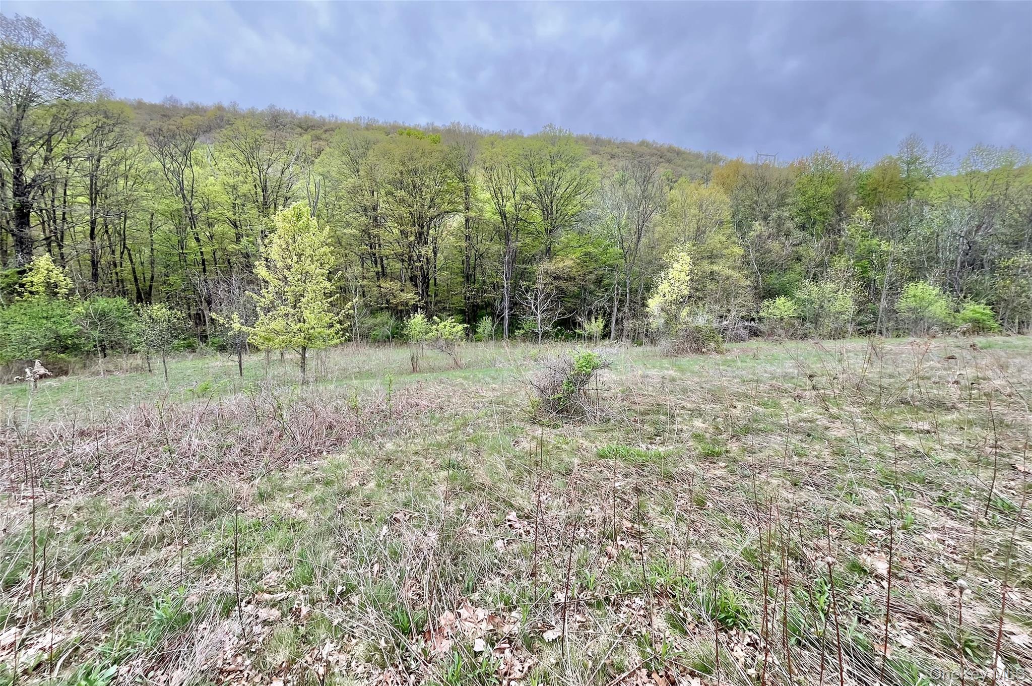 430 Kirbytown Road – For Sale photo 14