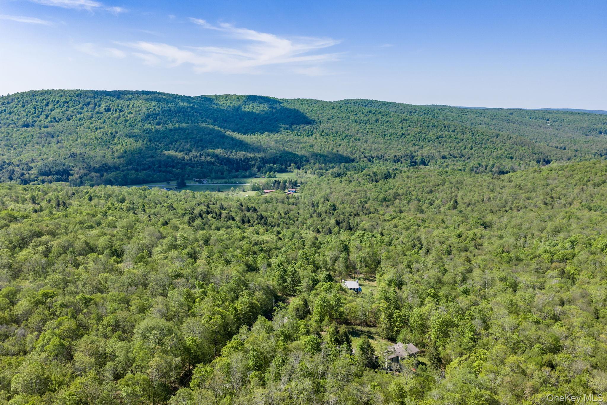 114 Turkey Hollow Lane – For Sale photo 46