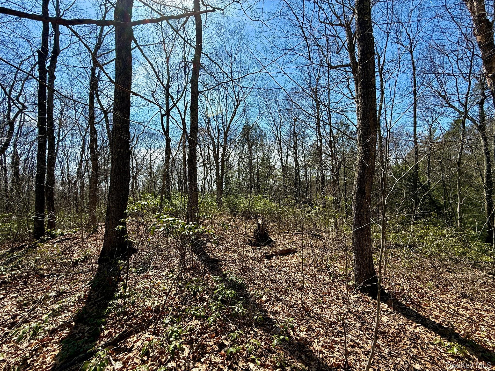 00 Ulster Heights Road – For Sale photo 47