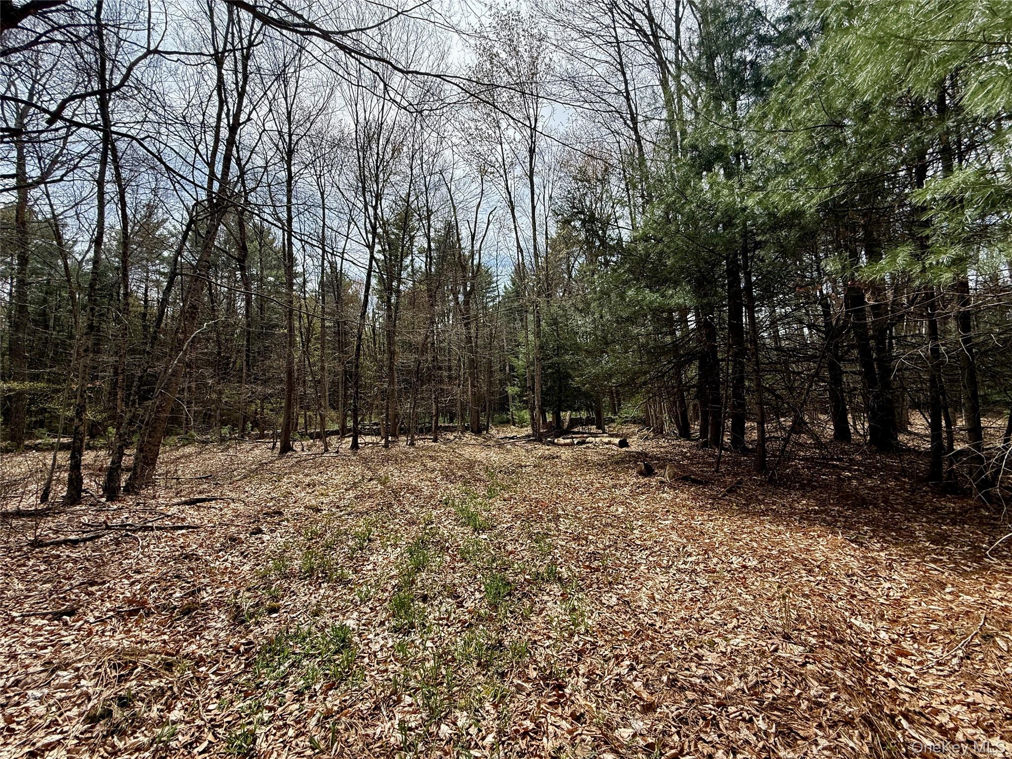 00 Ulster Heights Road – For Sale photo 25