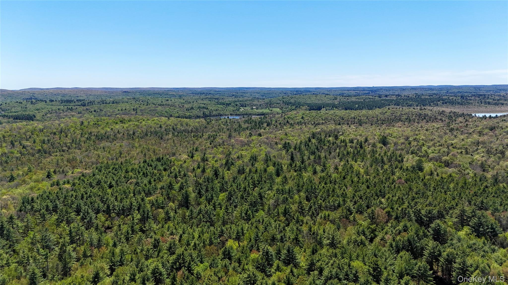 00 Ulster Heights Road – For Sale photo 10