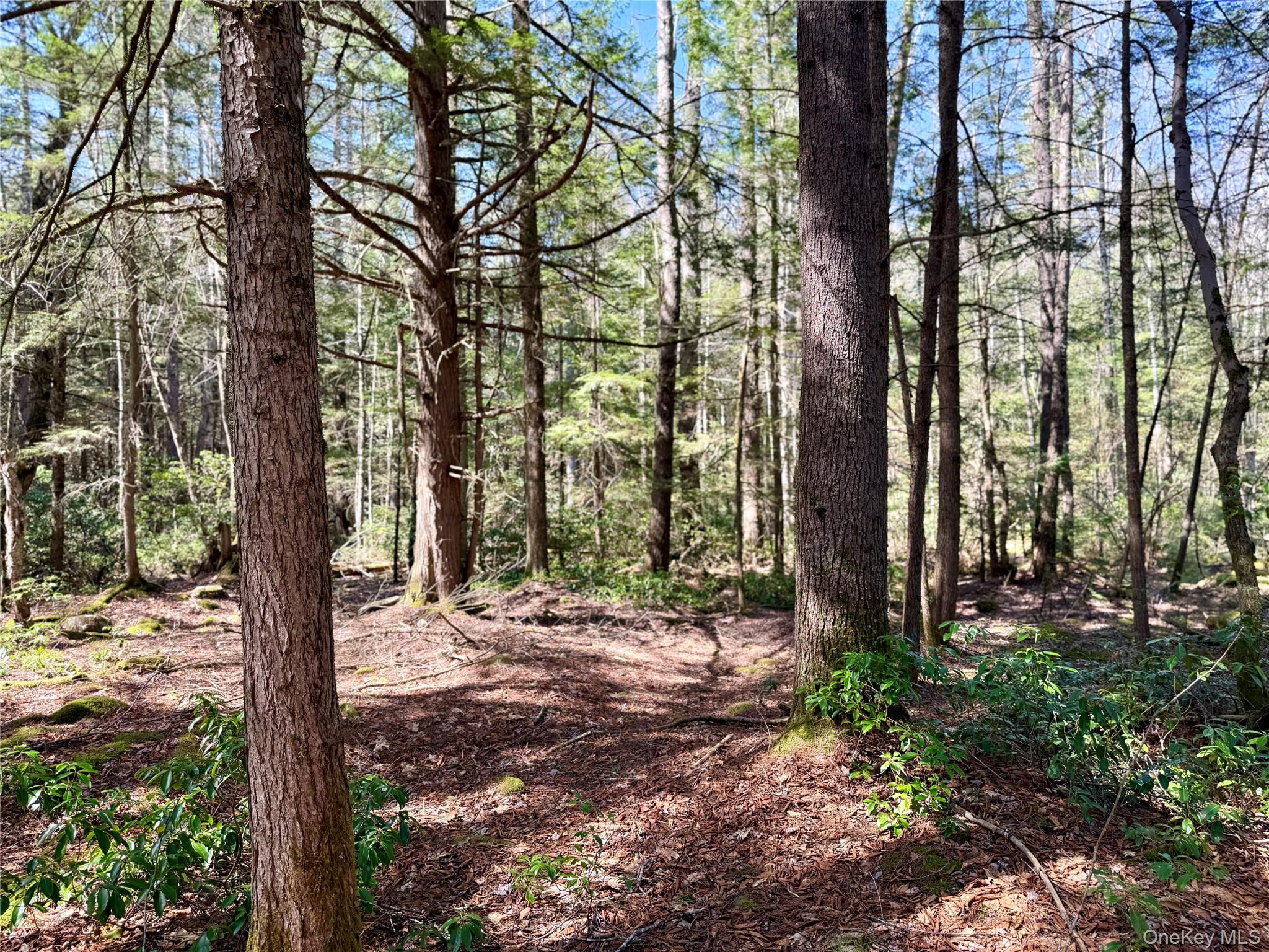 00 Ulster Heights Road – For Sale photo 44