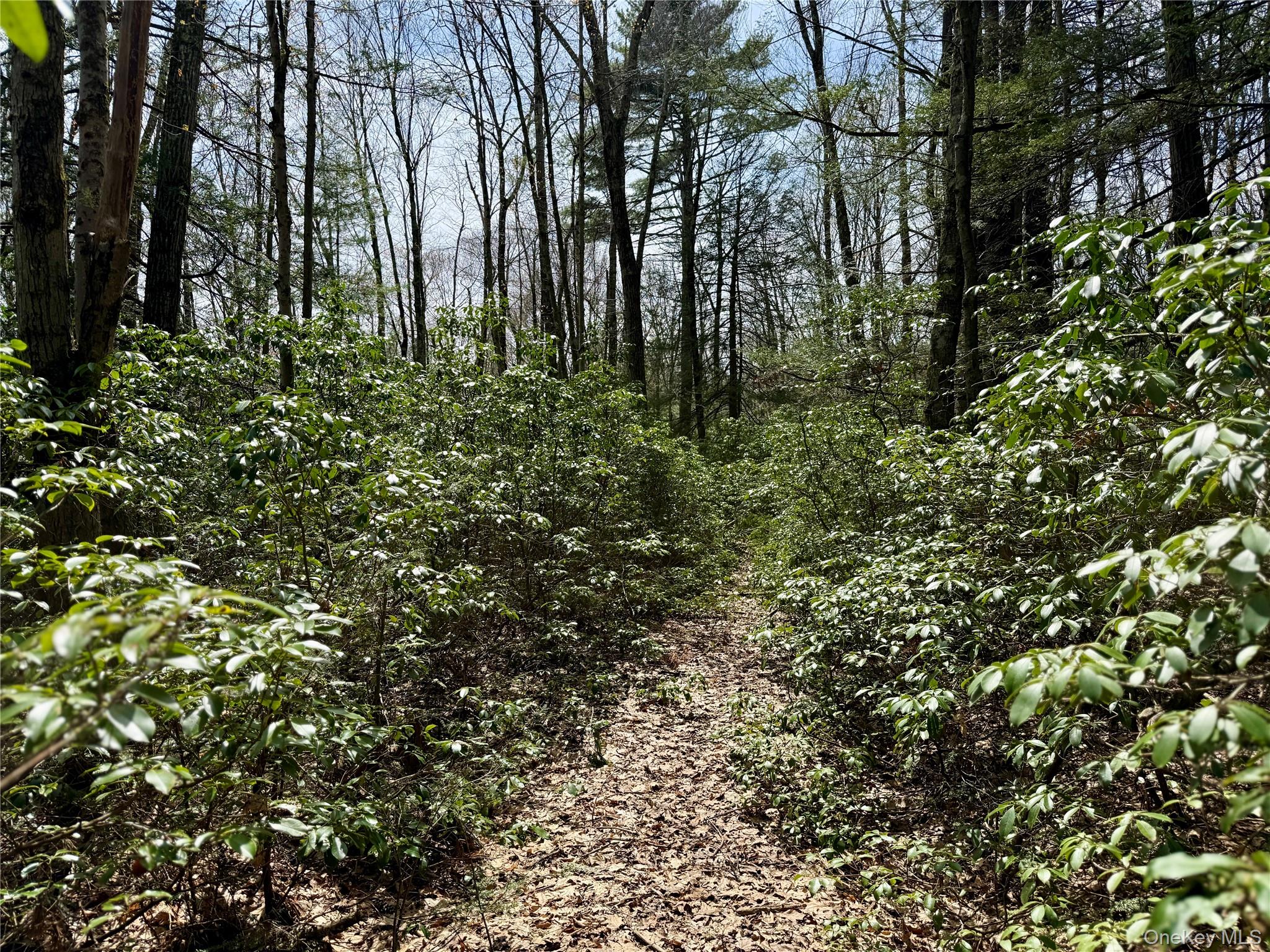 00 Ulster Heights Road – For Sale photo 28