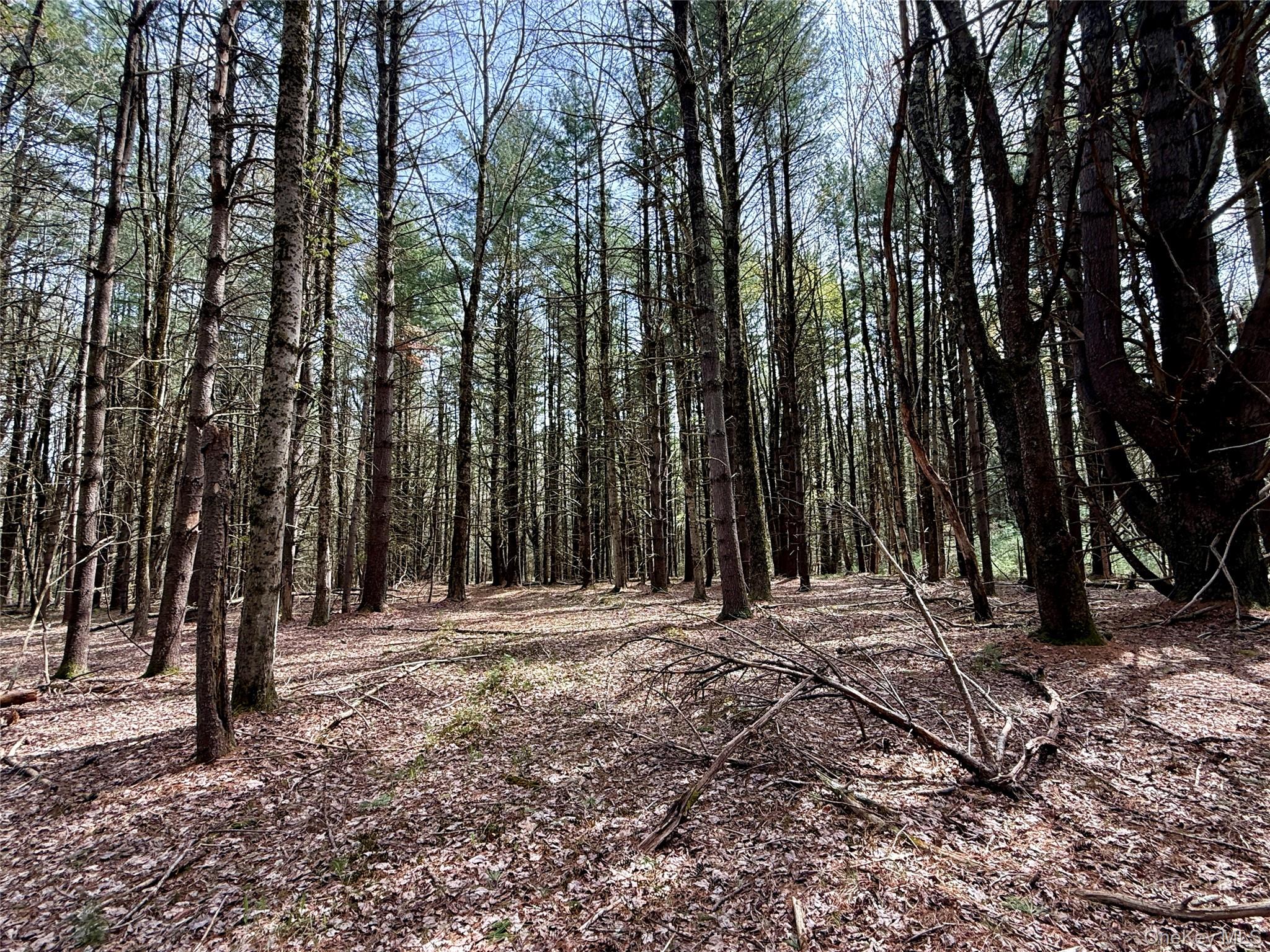 00 Ulster Heights Road – For Sale photo 26