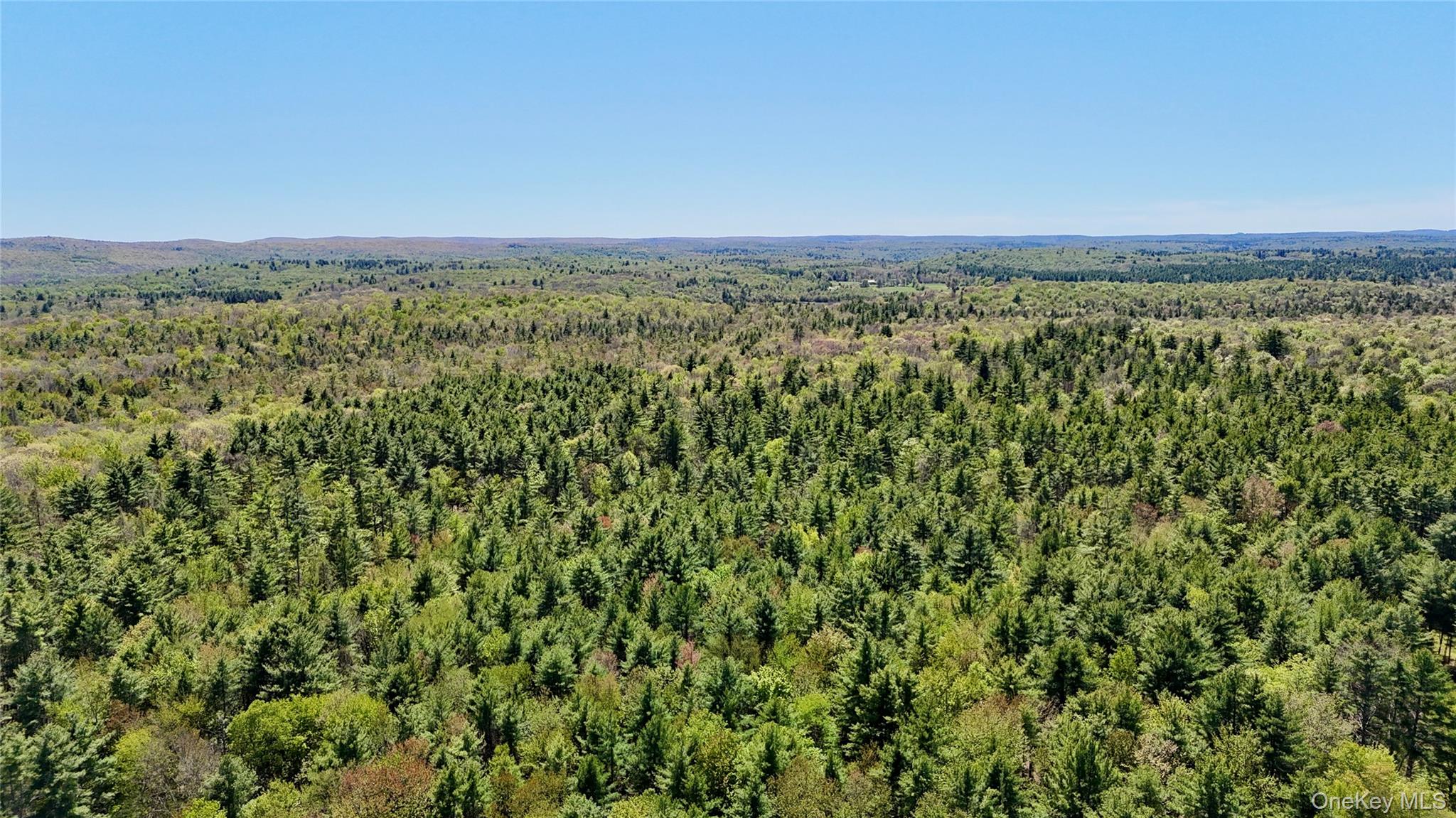 00 Ulster Heights Road – For Sale photo 8