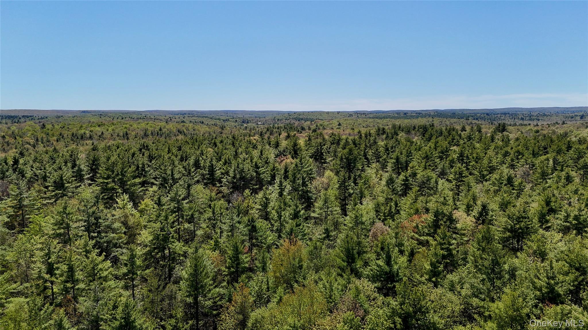 00 Ulster Heights Road – For Sale photo 46