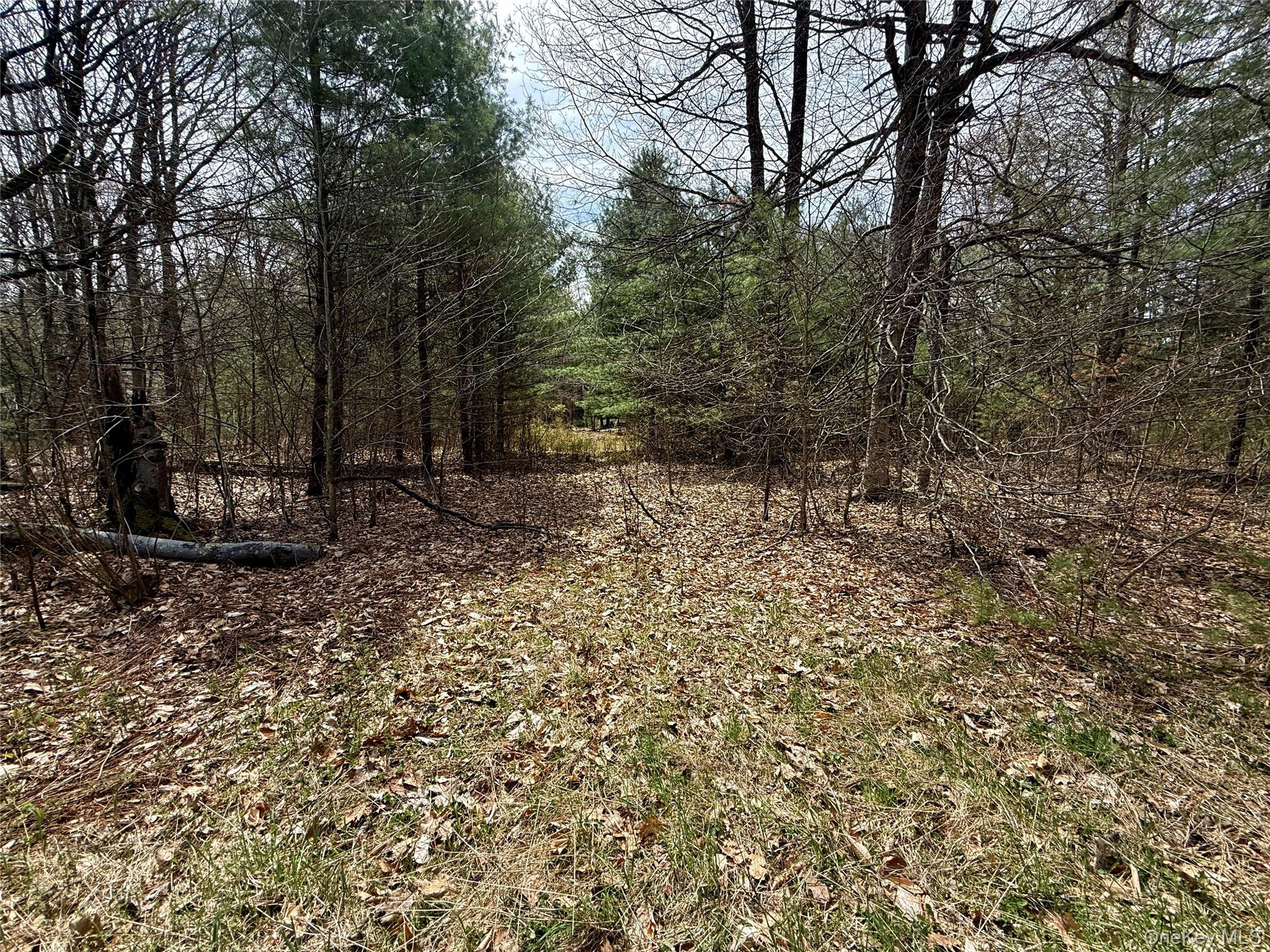 00 Ulster Heights Road – For Sale photo 23