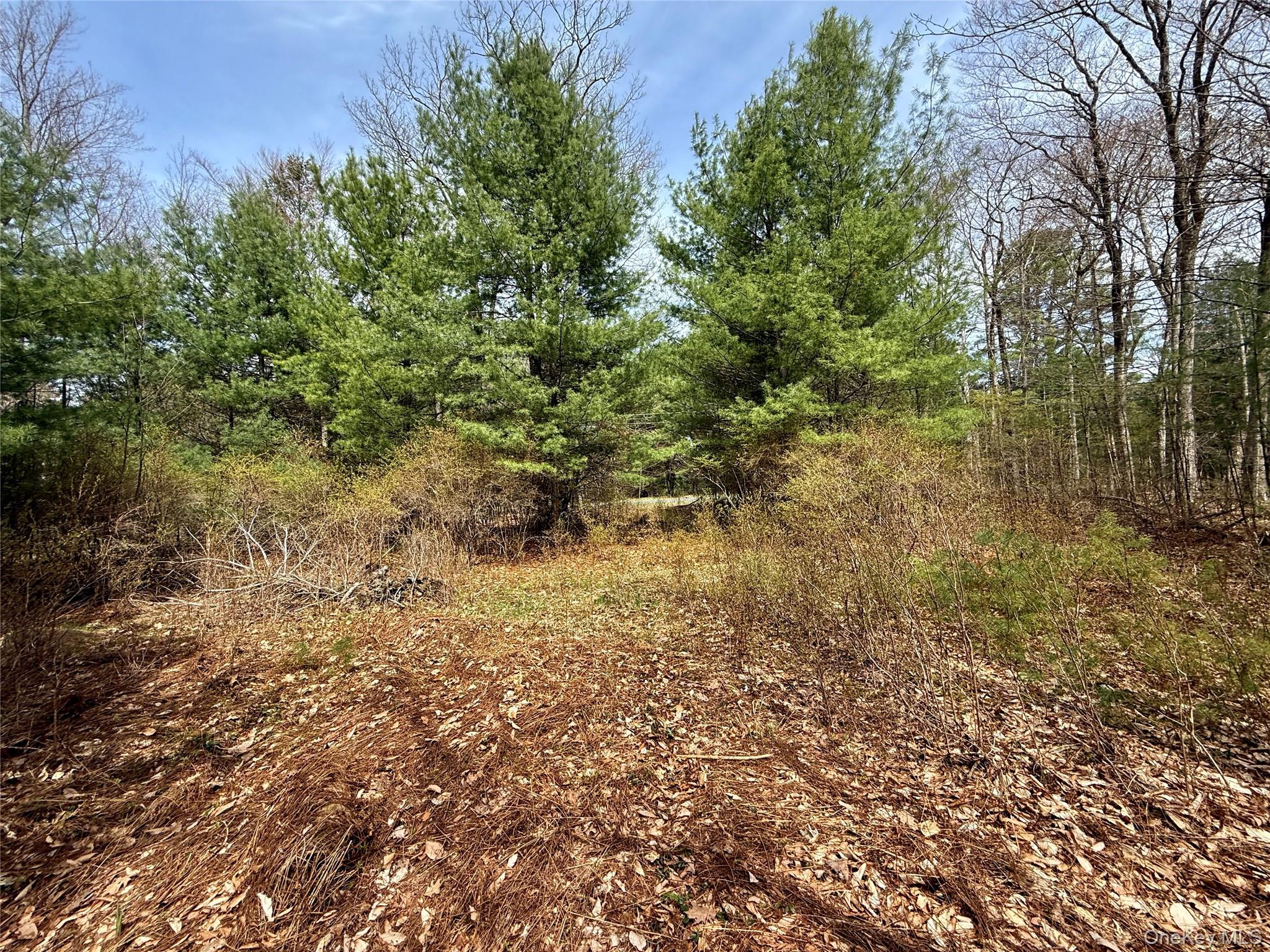 00 Ulster Heights Road – For Sale photo 24