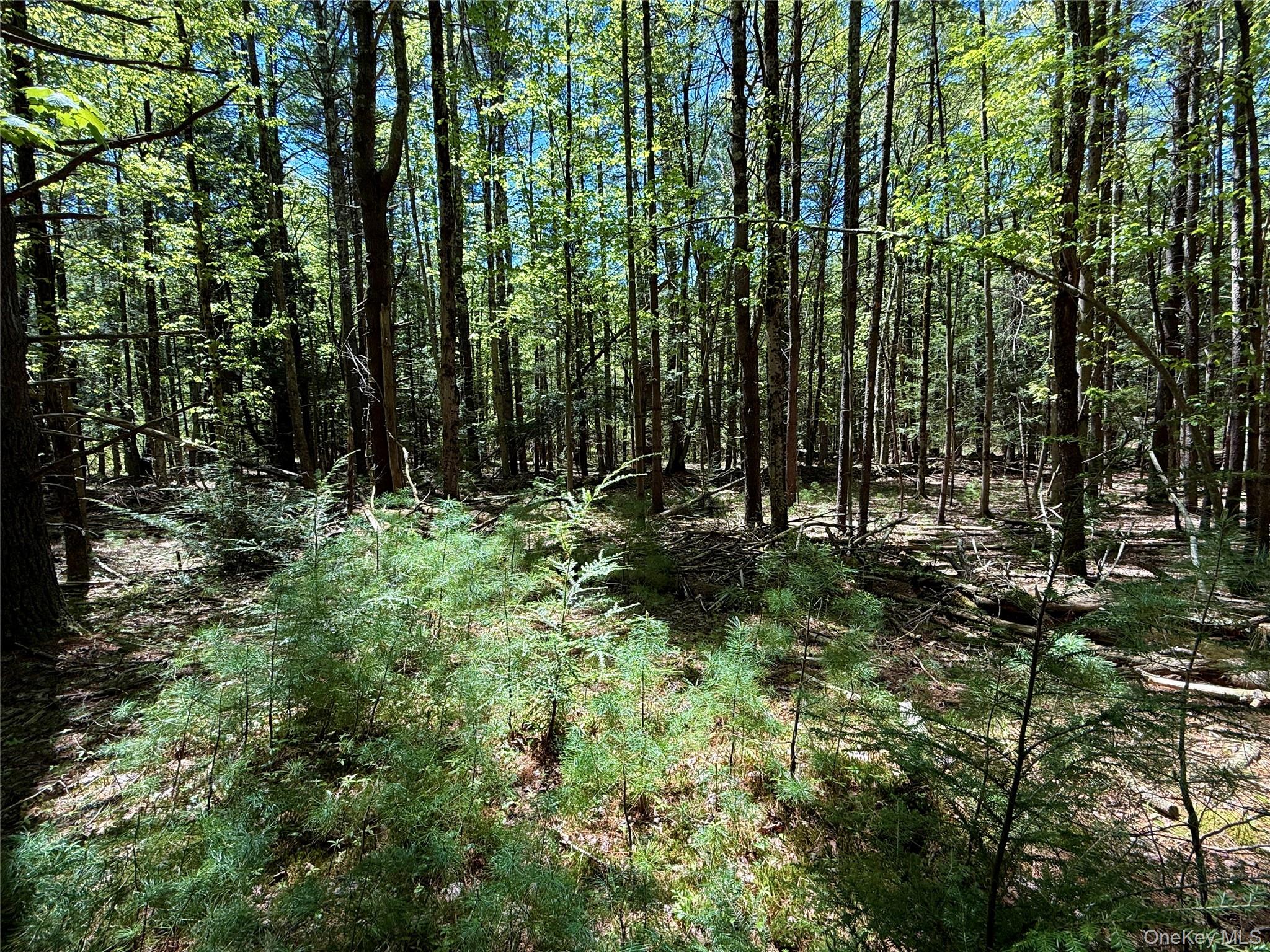 00 Ulster Heights Road – For Sale photo 45