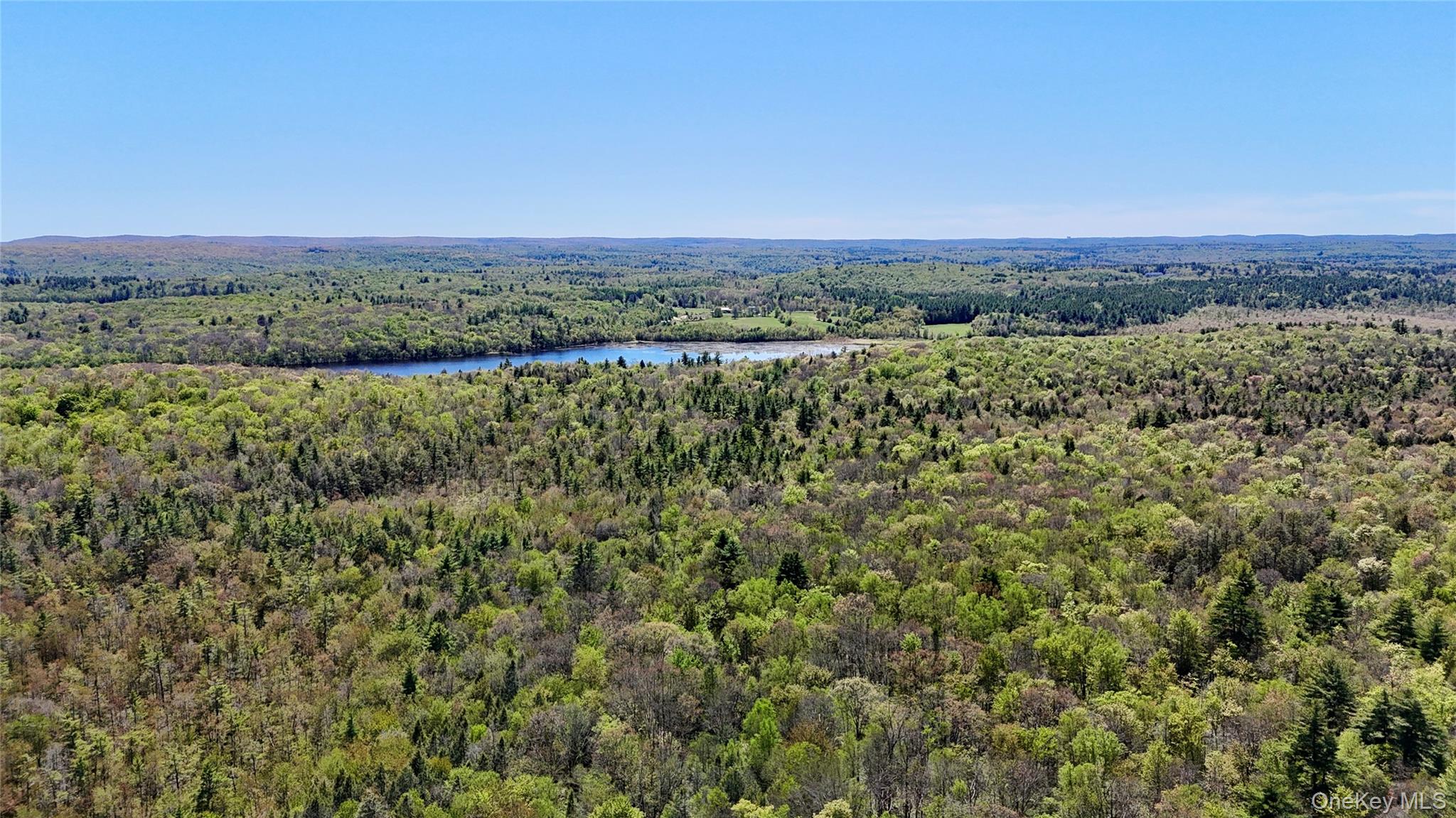 00 Ulster Heights Road – For Sale photo 12