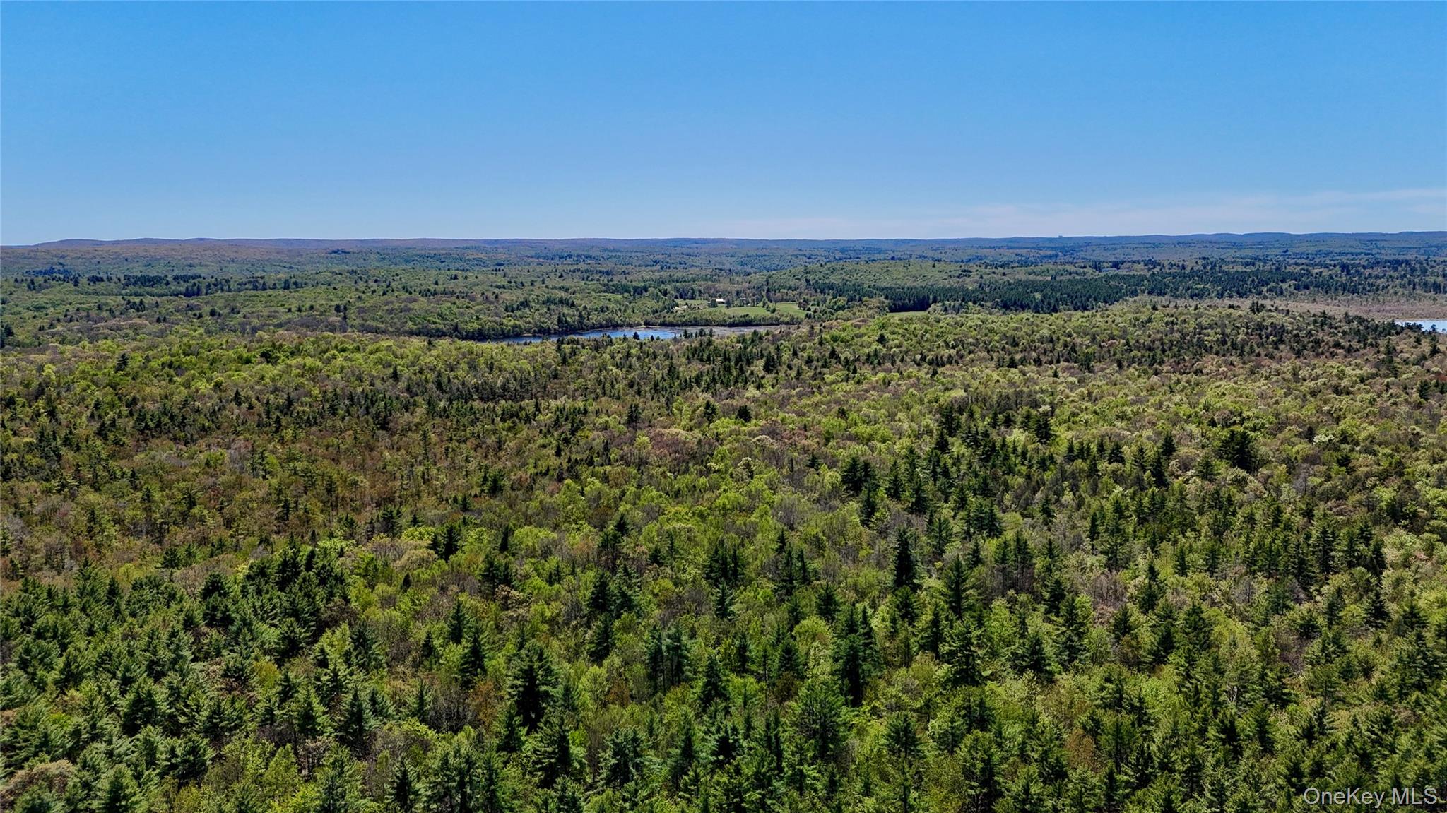 00 Ulster Heights Road – For Sale photo 11