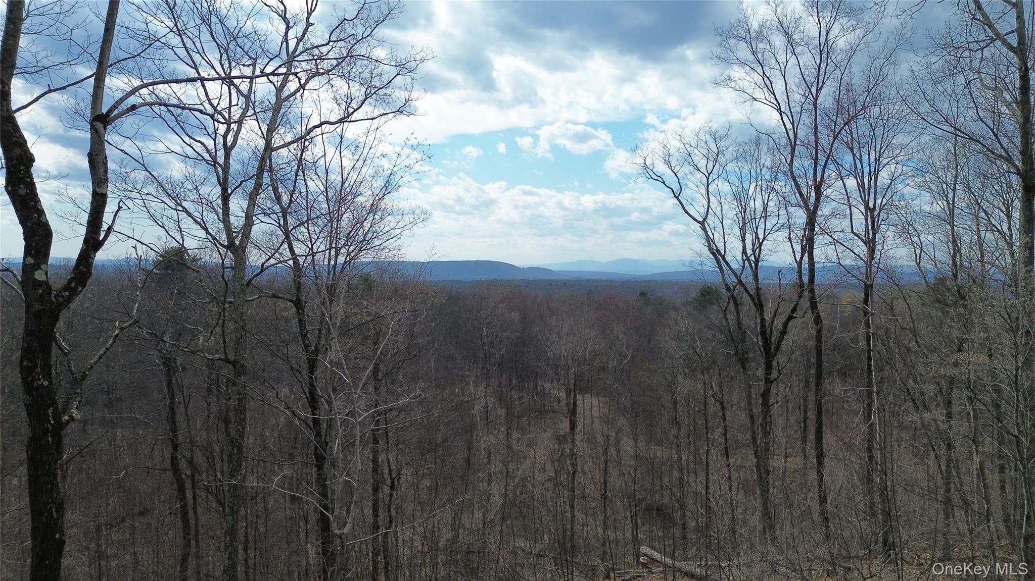 1790 Route 9G – For Sale photo 16