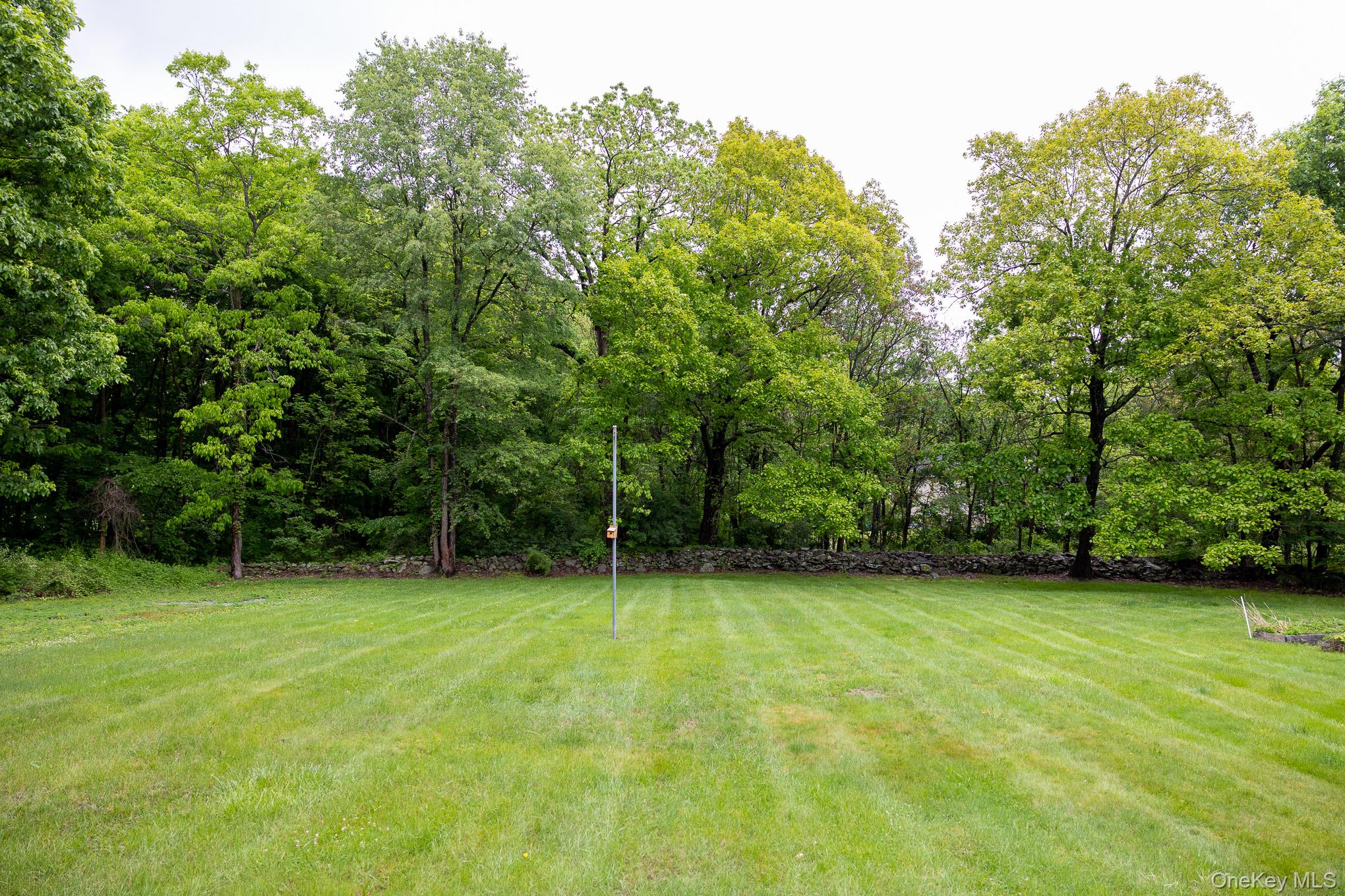 1544 Route 300 – For Sale photo 44