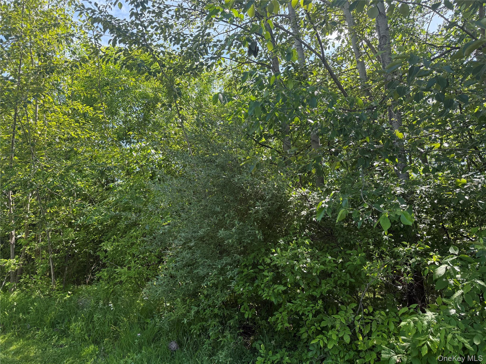 TBD Hawleys Corners Road – For Sale