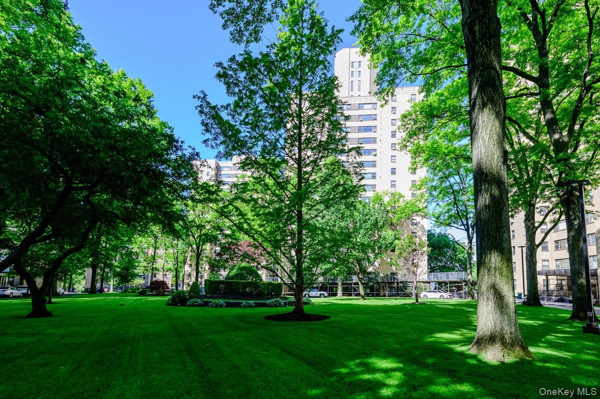 3 Fordham Hill Oval, Unit 5E photo 15