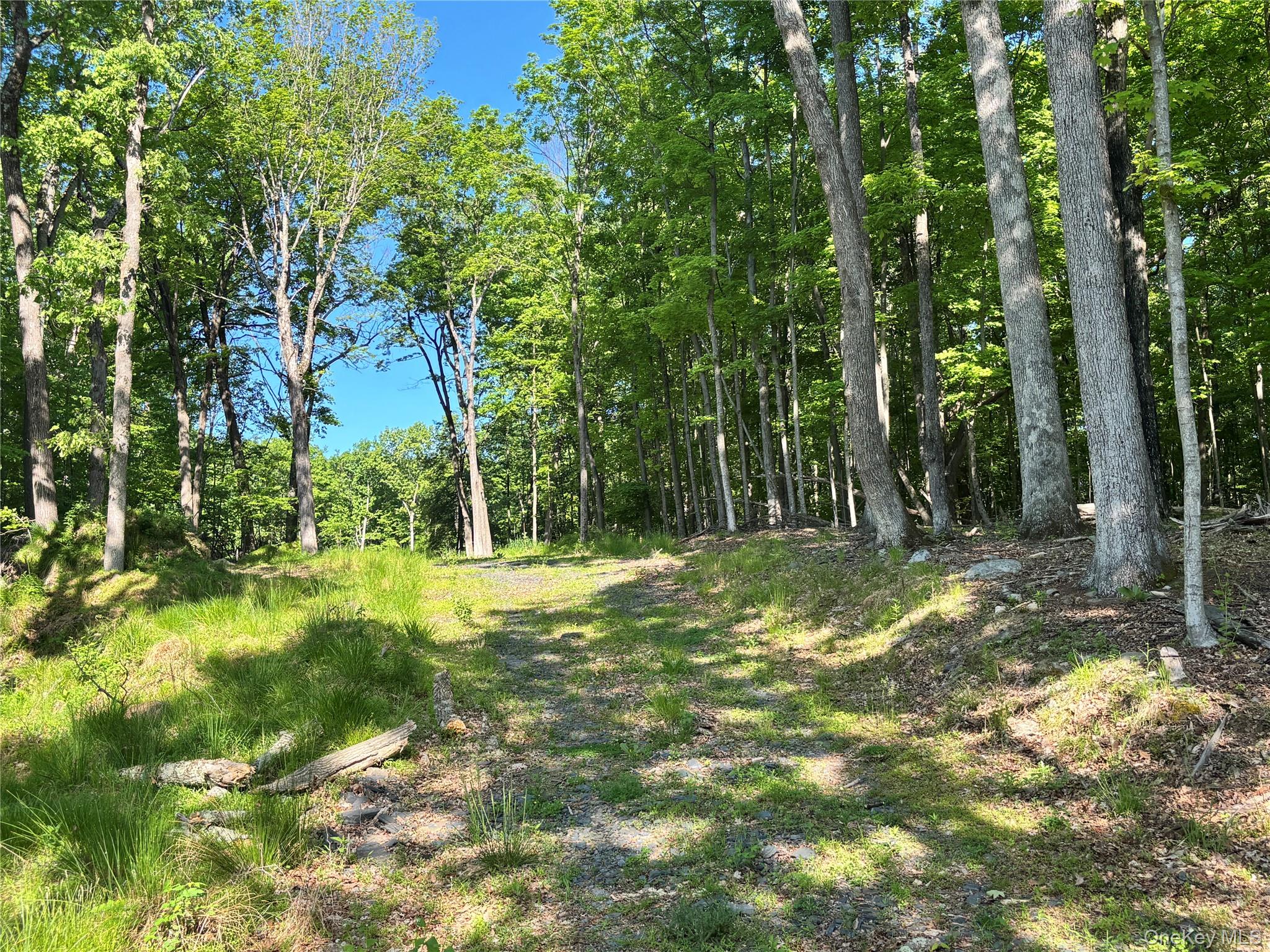 South Plank Road – For Sale photo 3