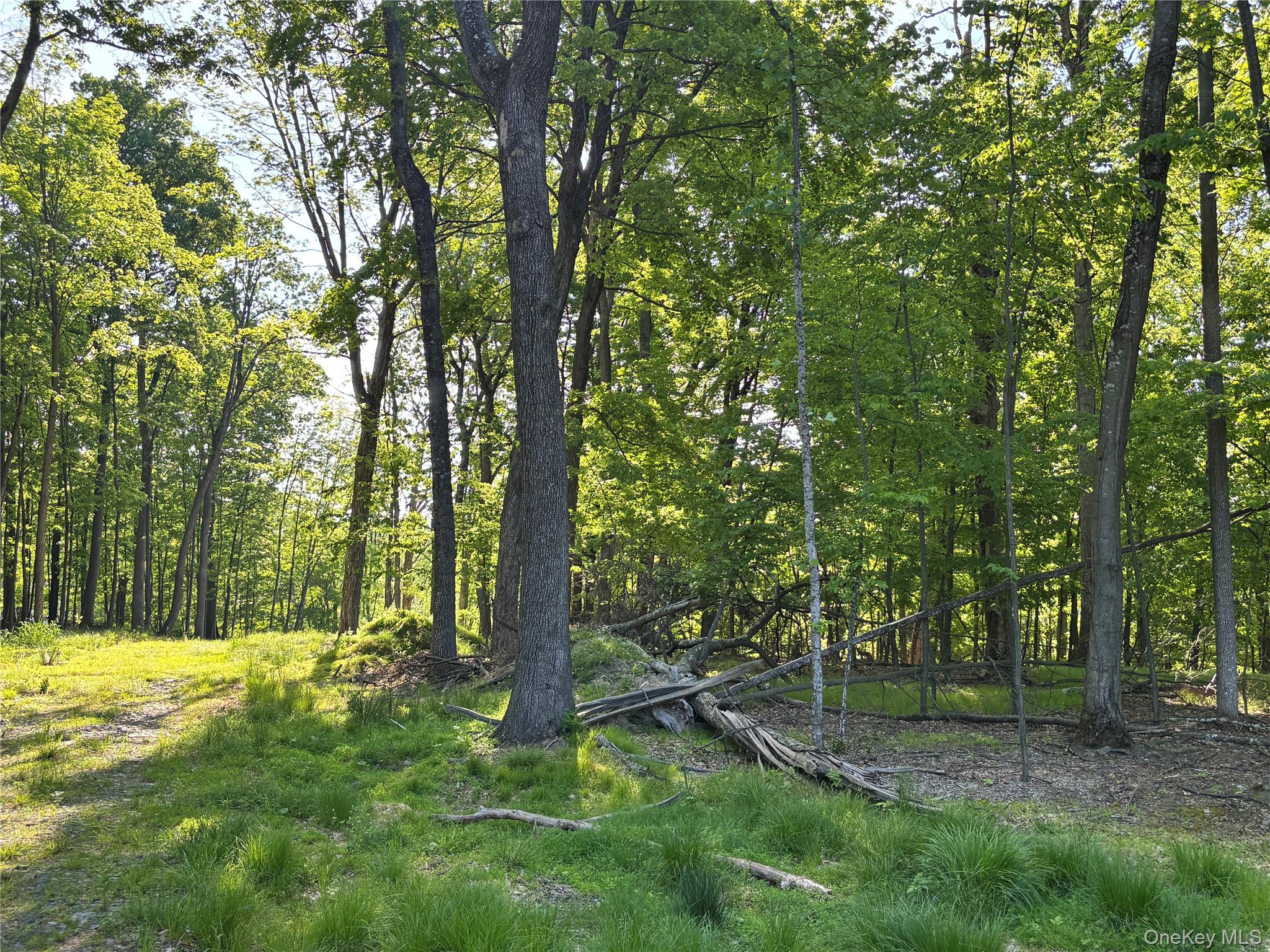 South Plank Road – For Sale photo 10