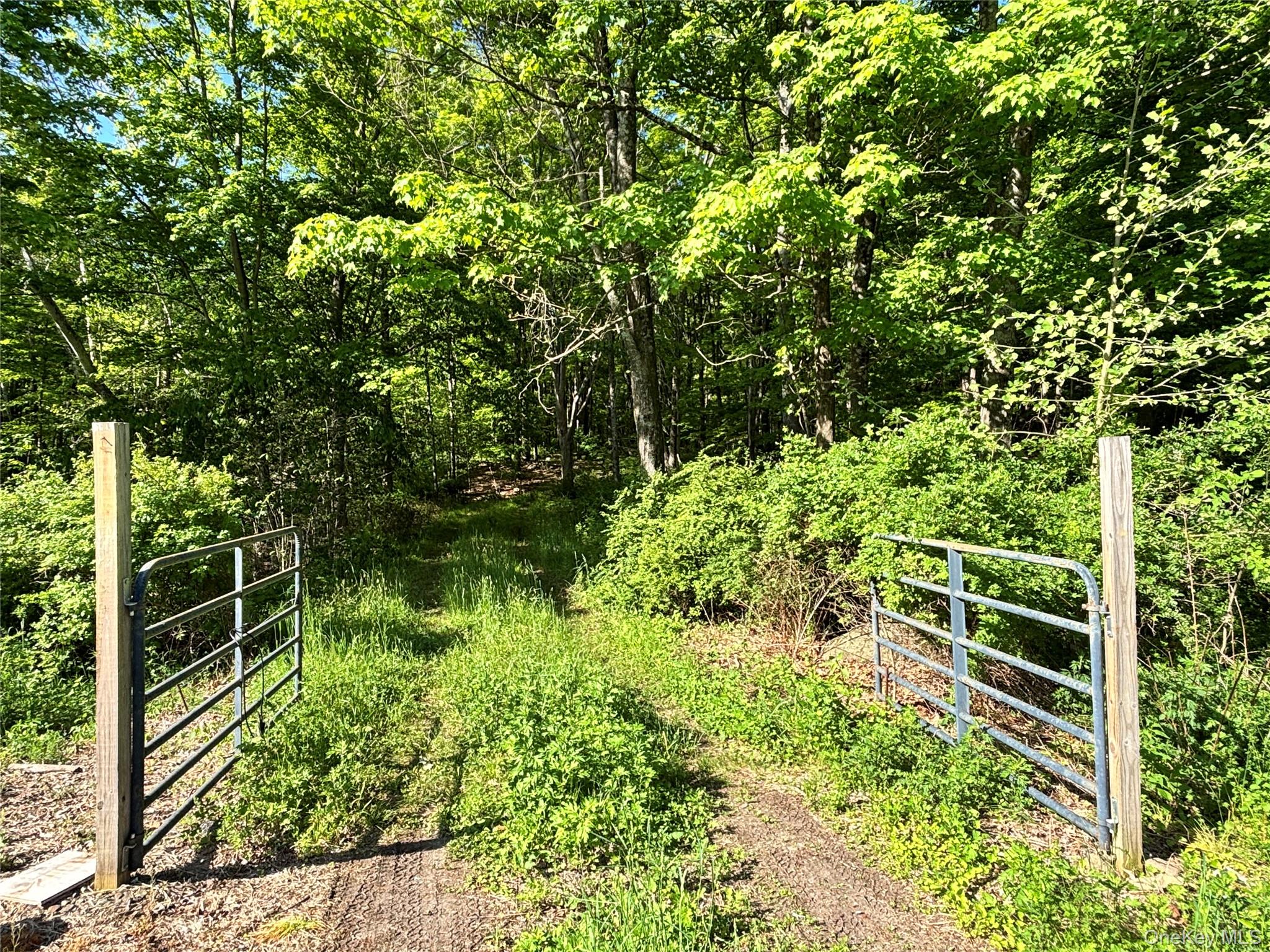South Plank Road – For Sale photo 11